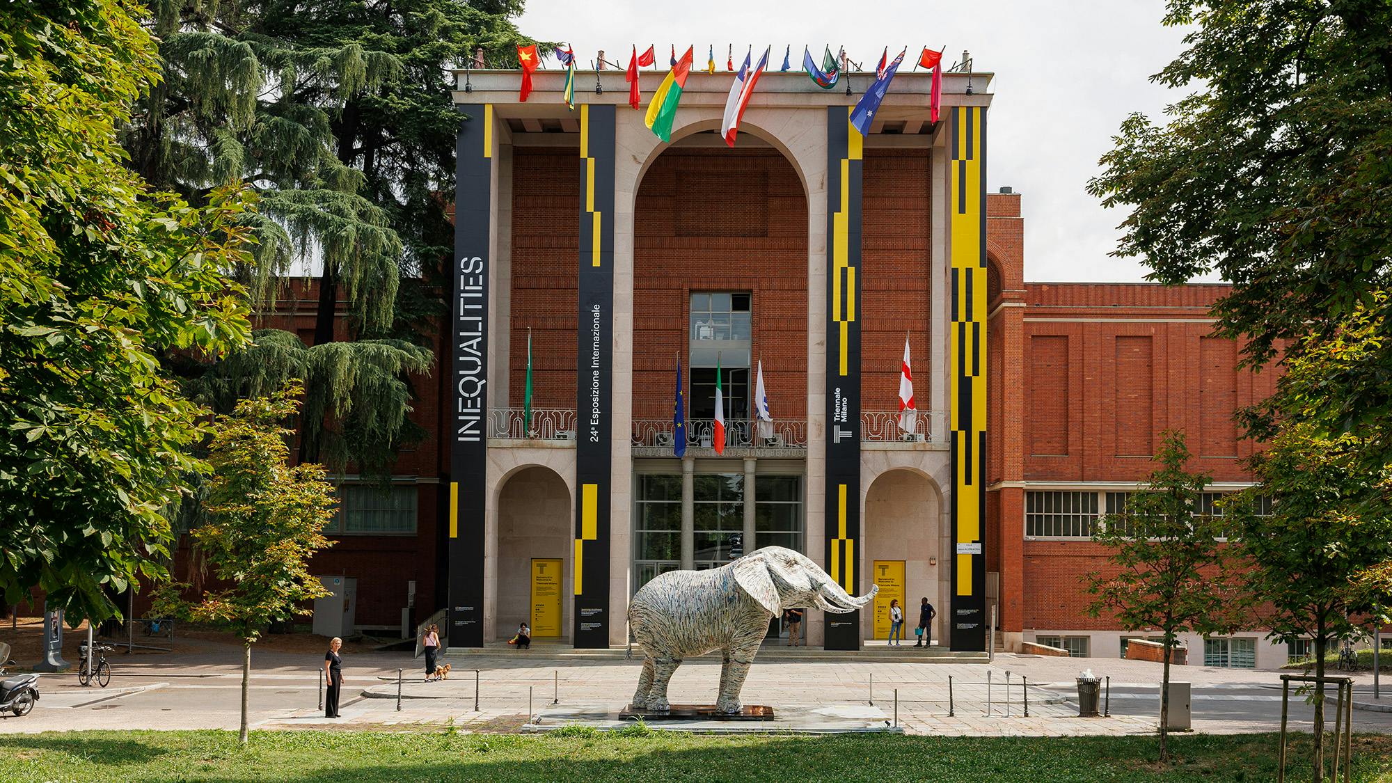 L'elefante della Namibia di Jacopo Allegrucci