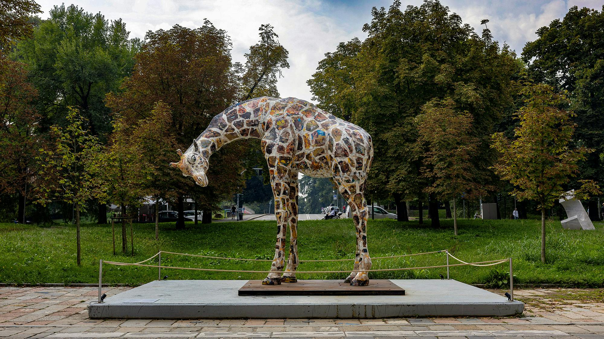La giraffa di Rotschild di Jacopo Allegrucci