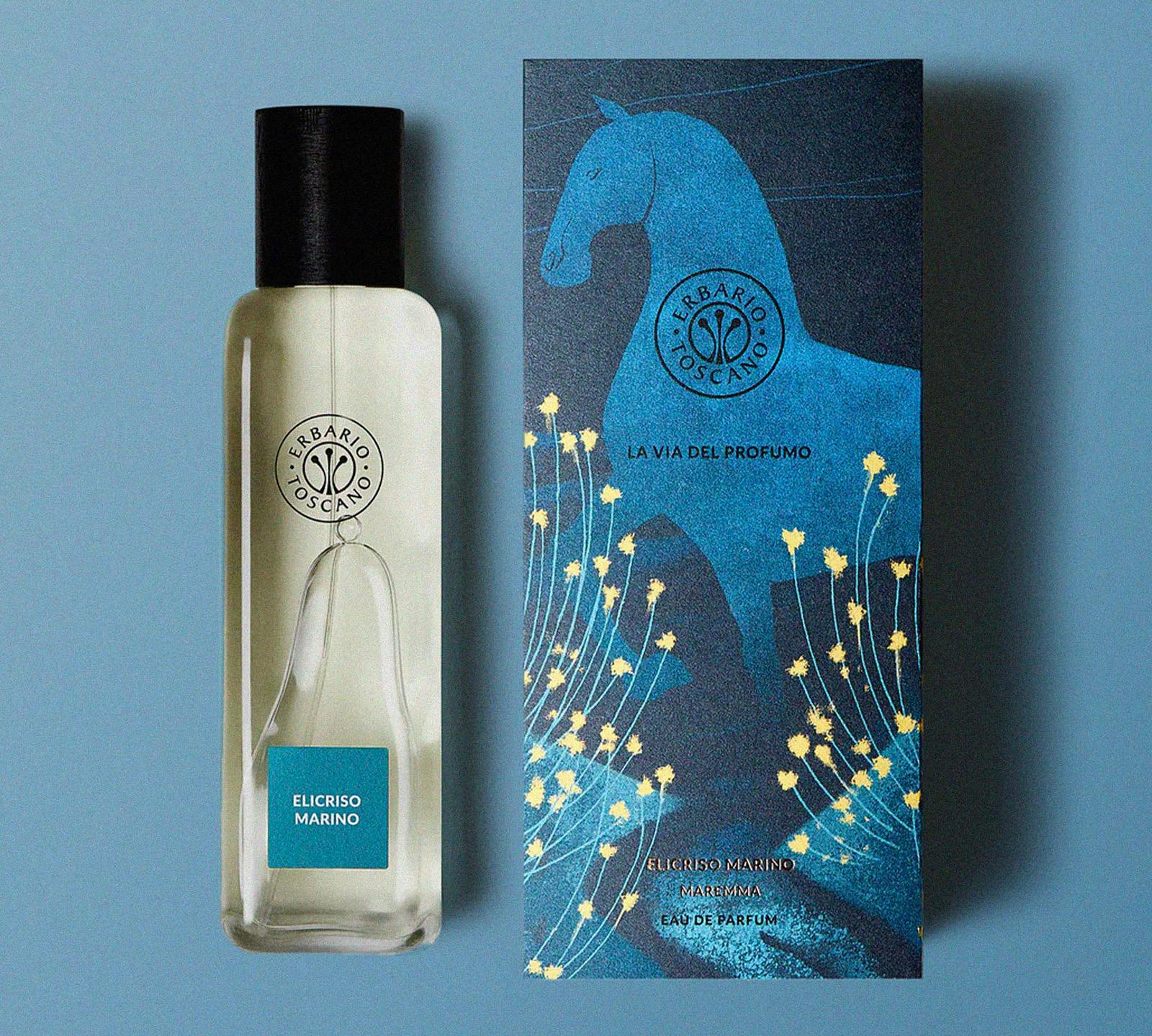 Elicriso marino di Erbario Toscano Elicriso marino di Erbario Toscano