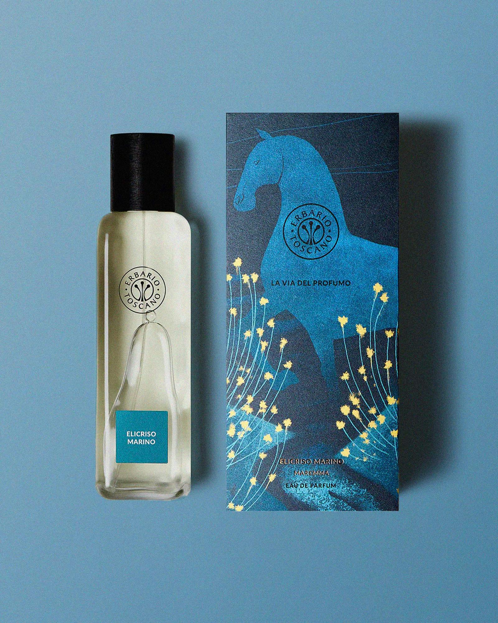 Elicriso marino di Erbario Toscano