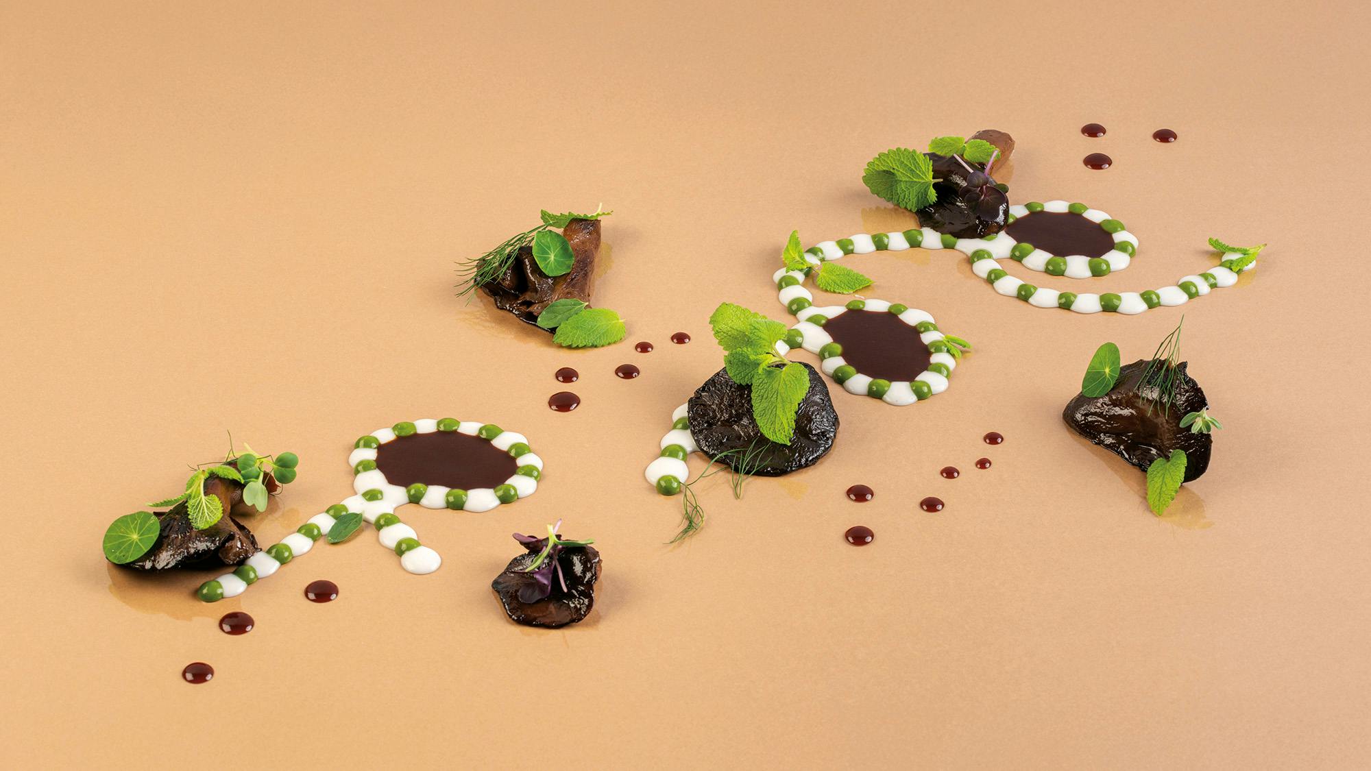 Fungo laccato, latte di pigna ed erbe di campo