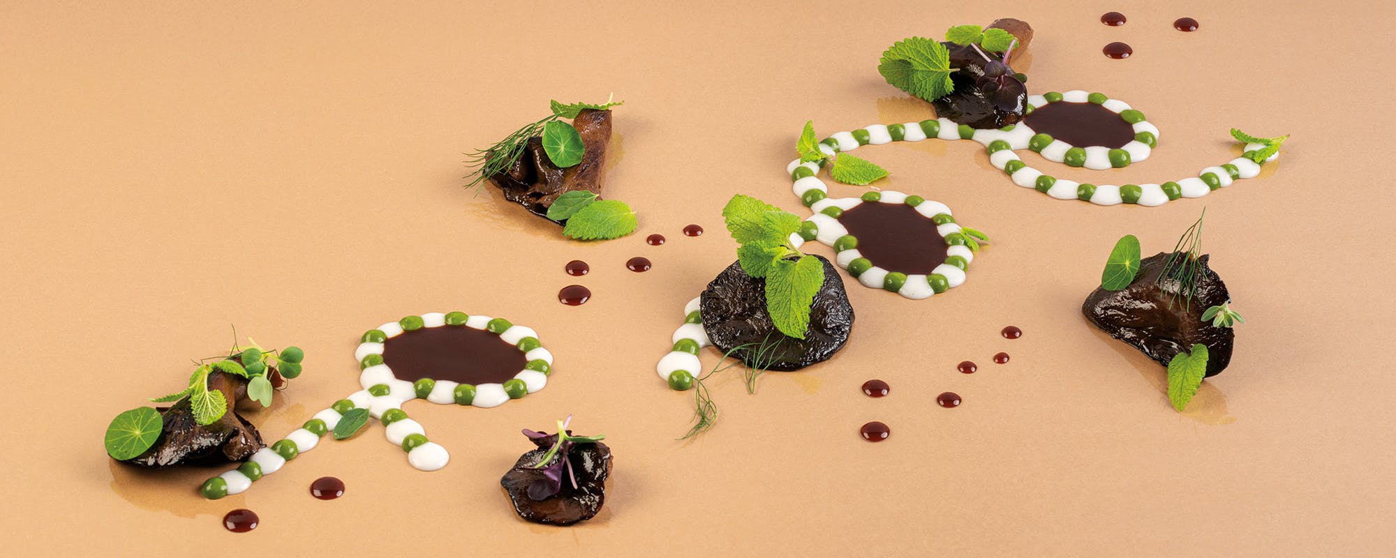 Fungo laccato, latte di pigna ed erbe di campo Fungo laccato, latte di pigna ed erbe di campo