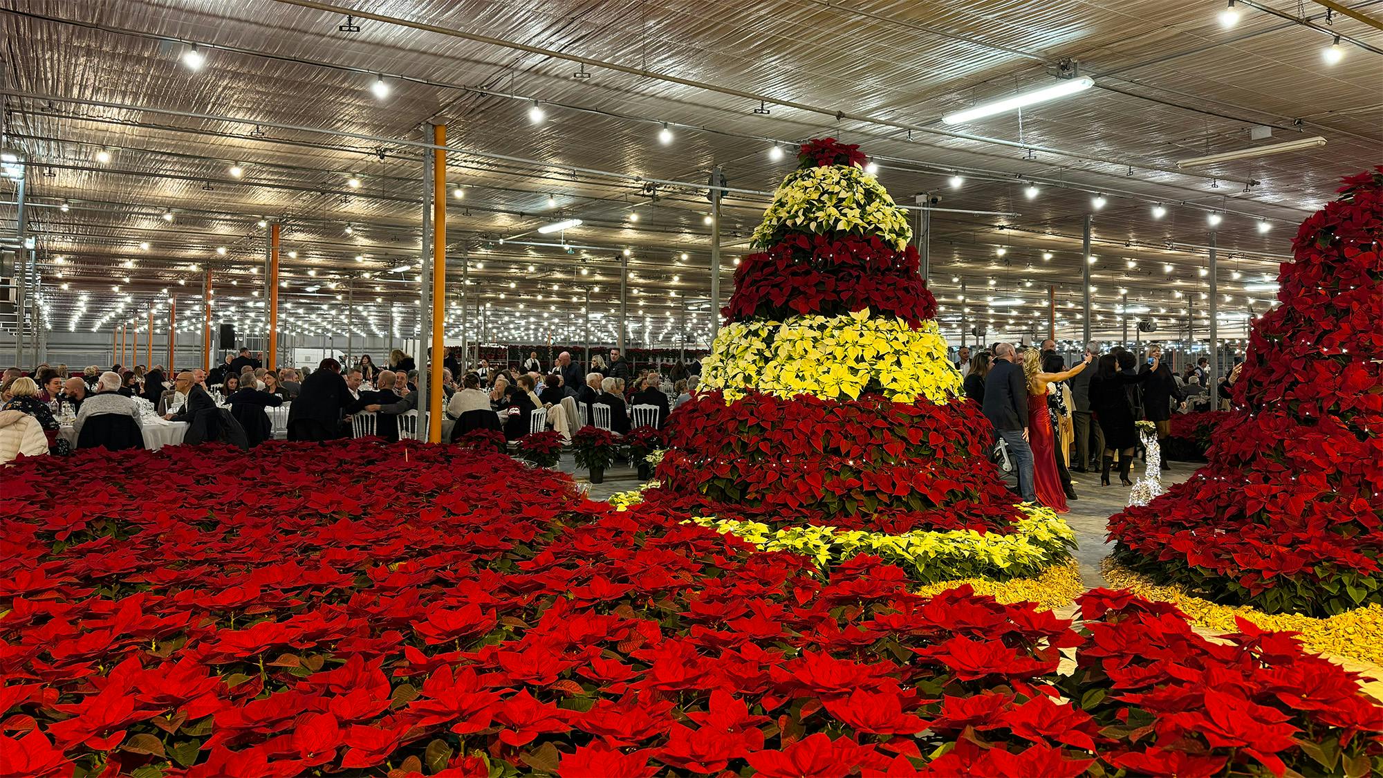 Cena delle Stelle di Natale 2025