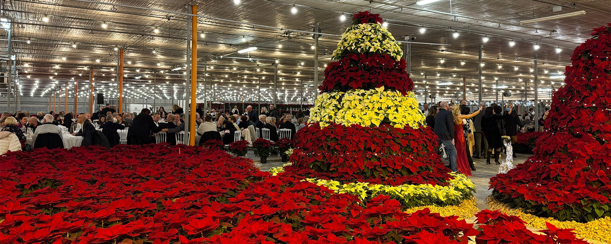 Cena delle Stelle di Natale 2025 Cena delle Stelle di Natale 2025