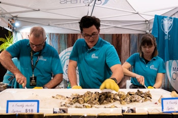 Mahurangi oysters