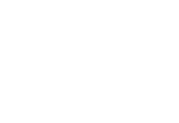 Beer Fans 