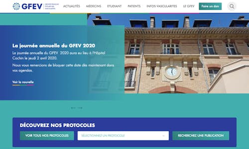 Groupe Français d'Etude des Vascularites (GFEV)