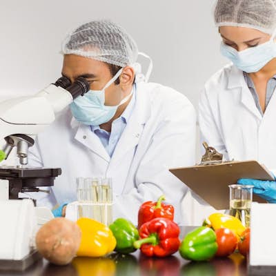 LaFib | Biofood innovation