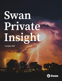 Swan Private Insight Report