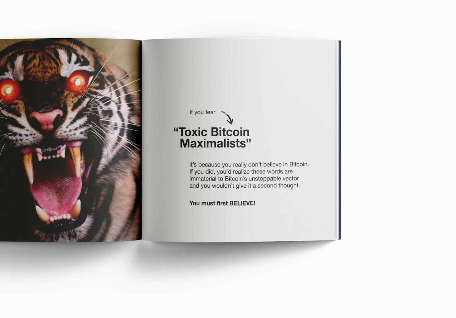 The Book Of Max, extract 2