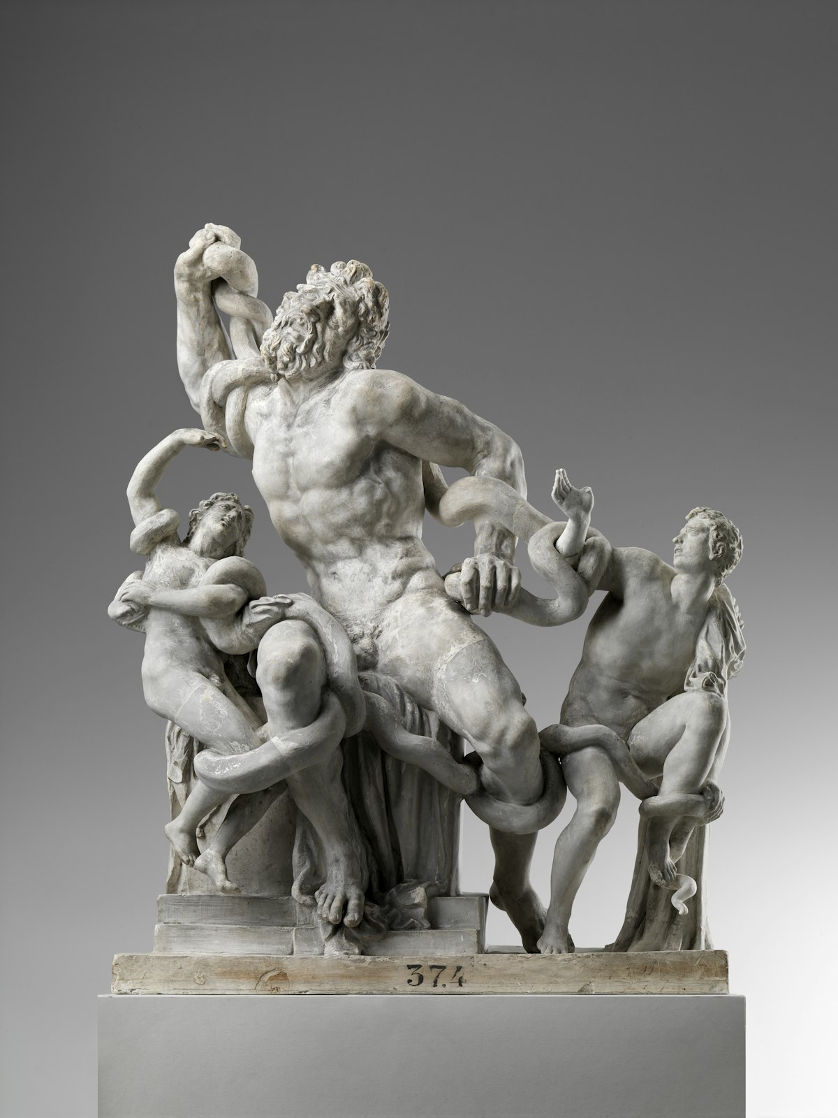 Laocoonte, dalla bottega di Giovan Battista Foggini