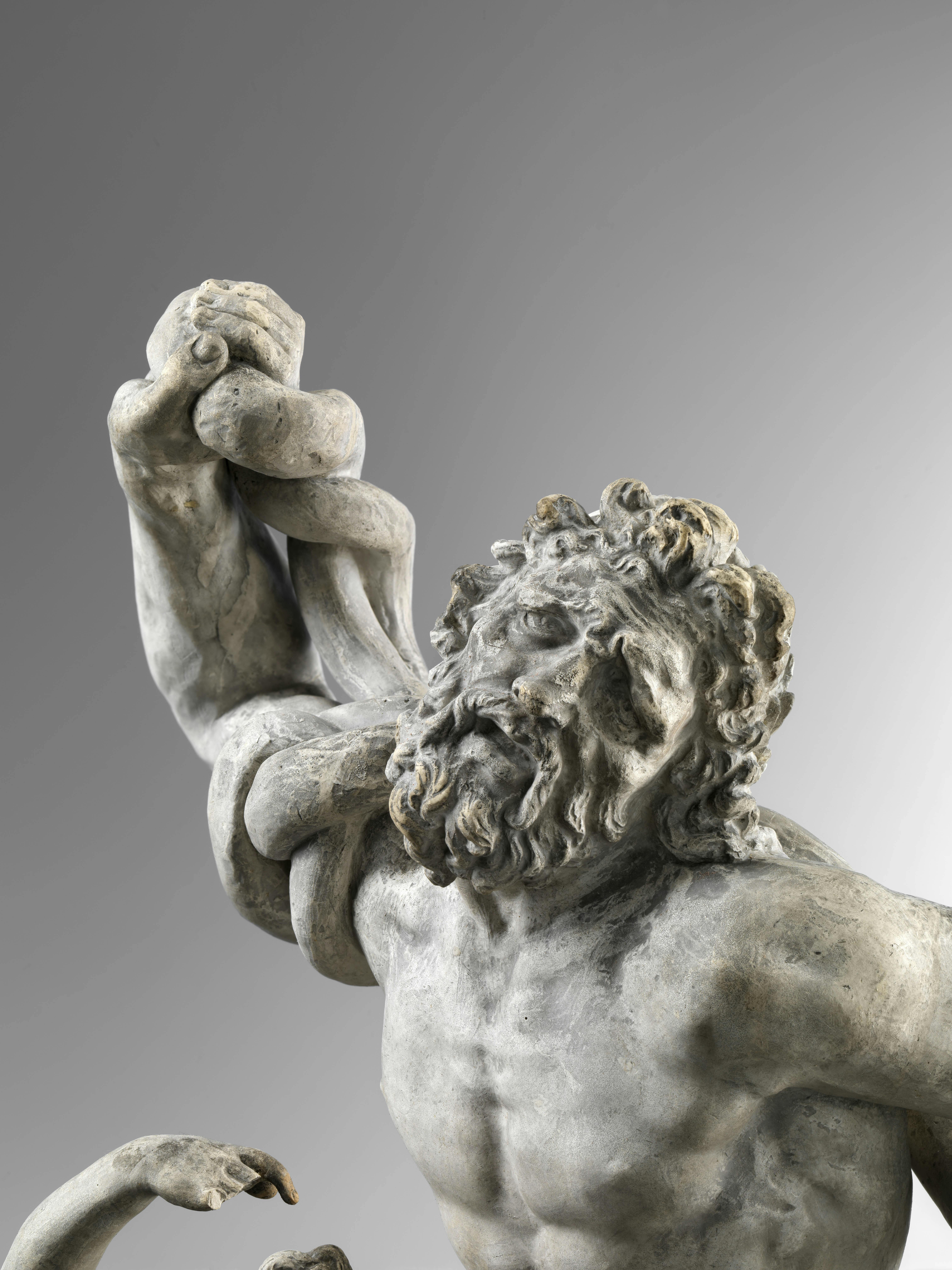 Dettaglio del volto di Laoconte