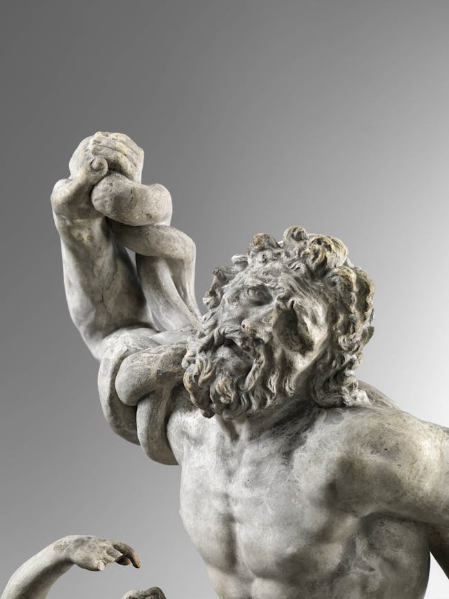 Dettaglio del volto di Laoconte