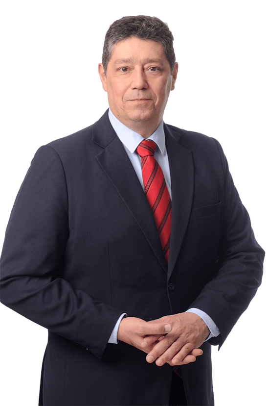 Lionel Garnier-Direction BU / Filiale - Manager de Transition