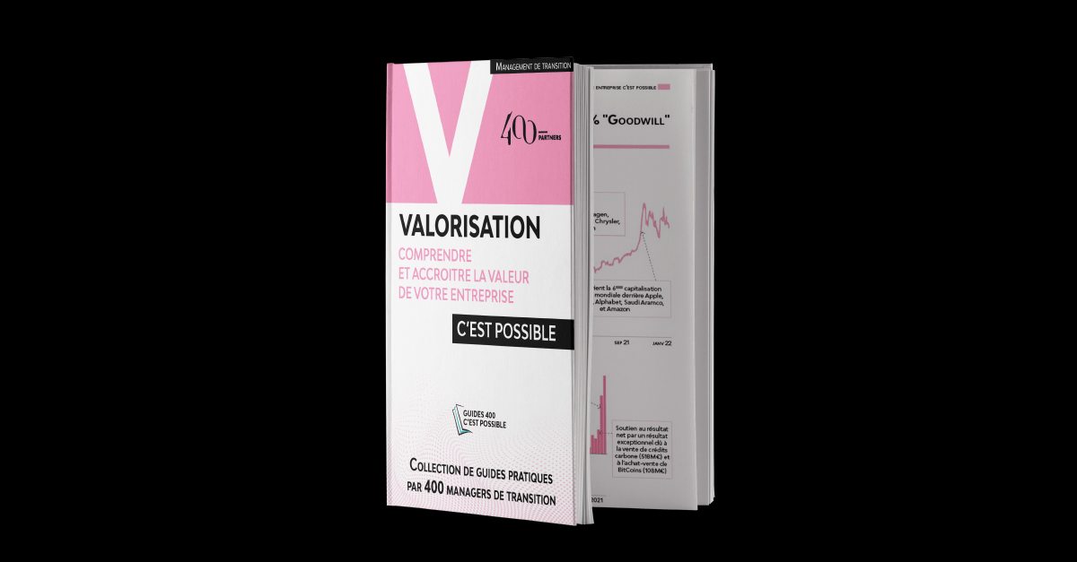 Guide 'Comprendre et accroitre la valeur de votre entreprise c'est possible'