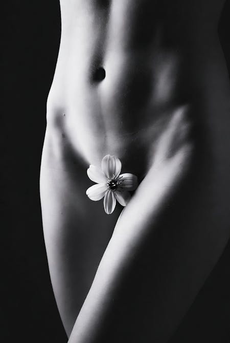 Female vaginal rejuvenation picture of the female abdomen and vaginal area covered by a flower