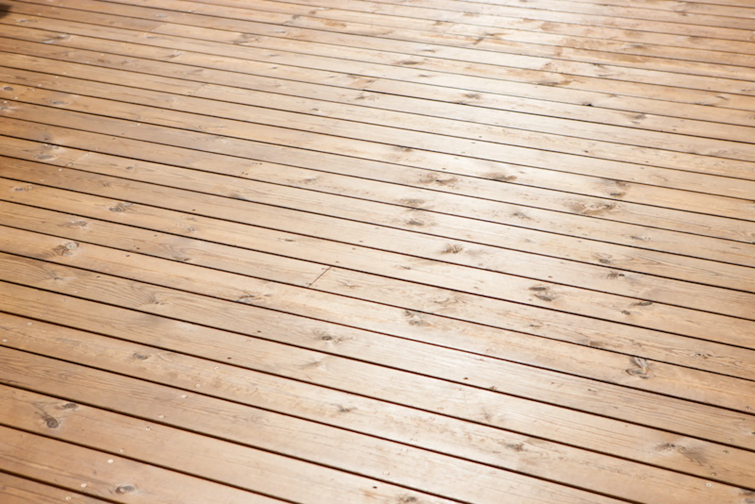 Gagnvarin fura sem pallaefni