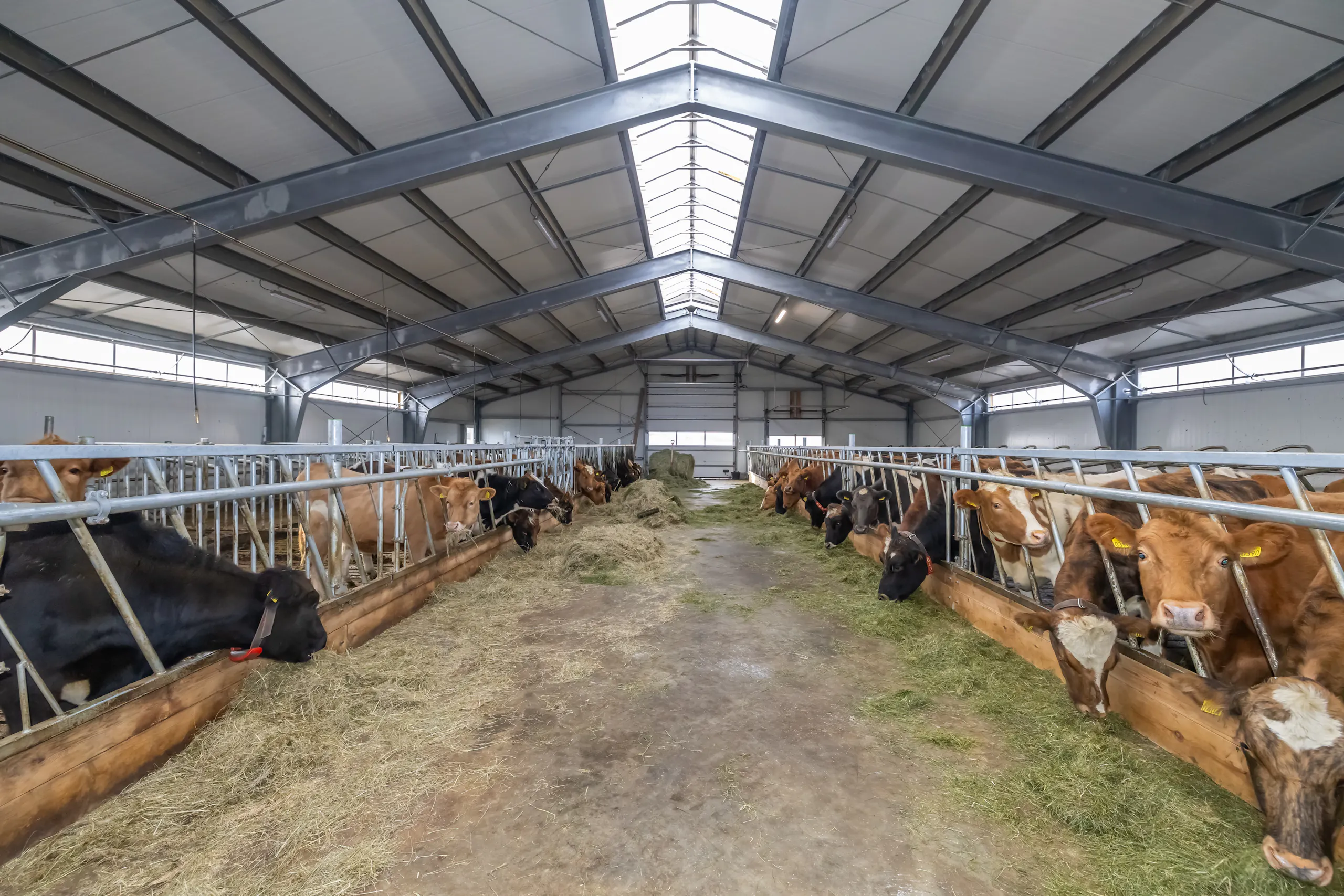 Kambstaðir-stalgrindarhús