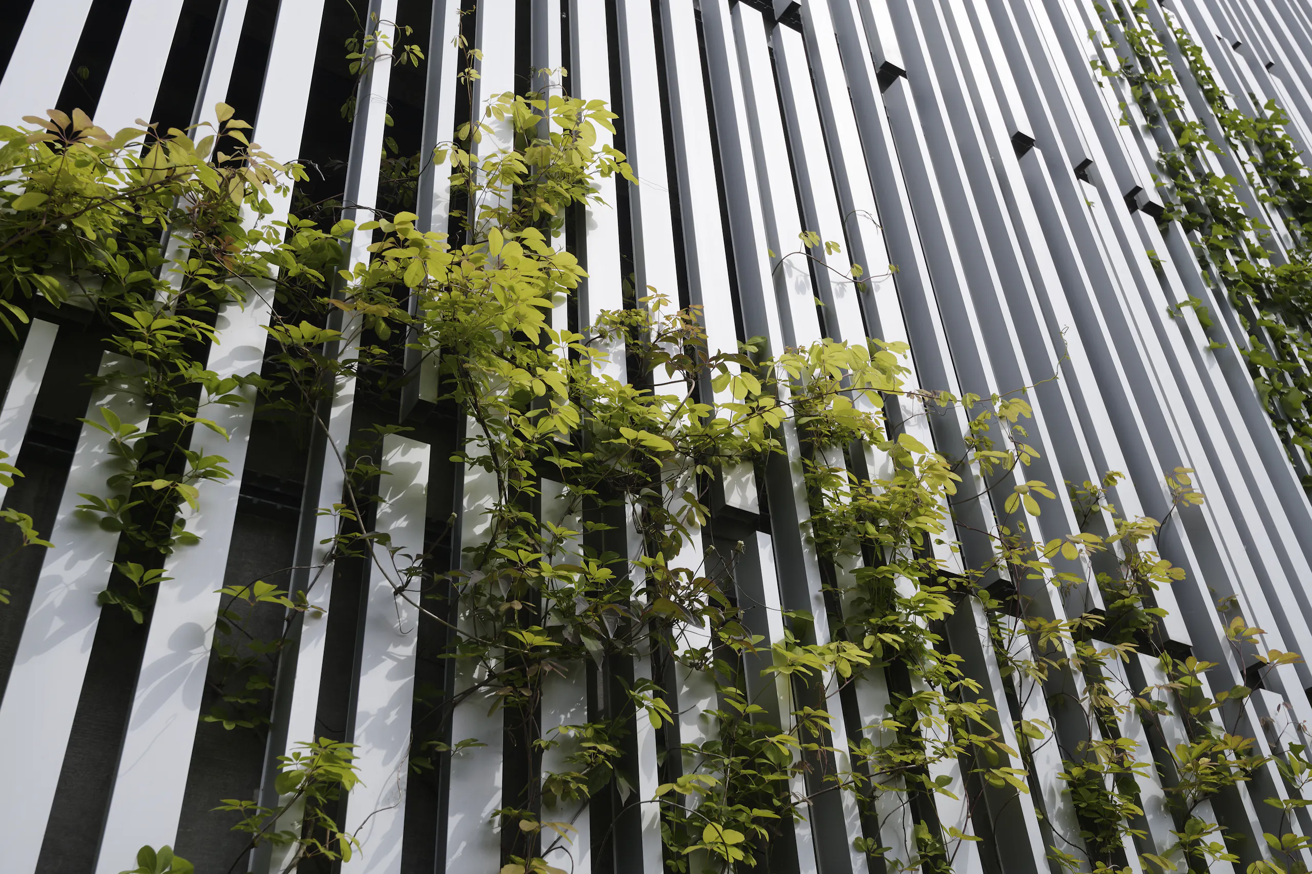 Nordisk Profil Havnemollen bílakjallari