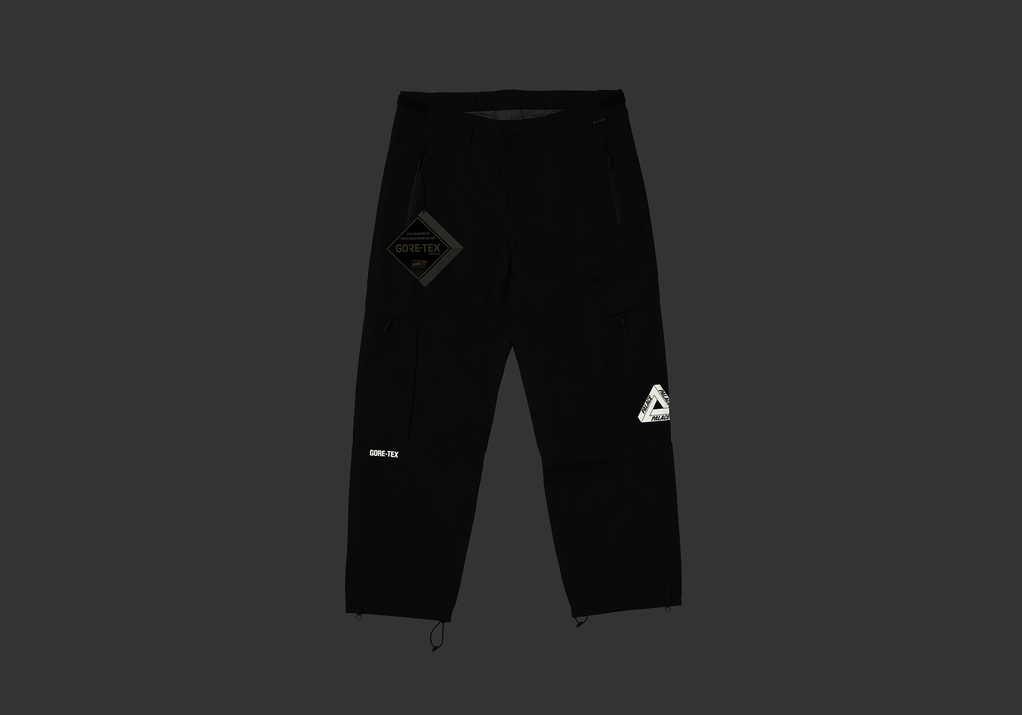 パンツ PALACE GORE-TEX Cotton RS Cargo 1695379280-palace-2023-winter-