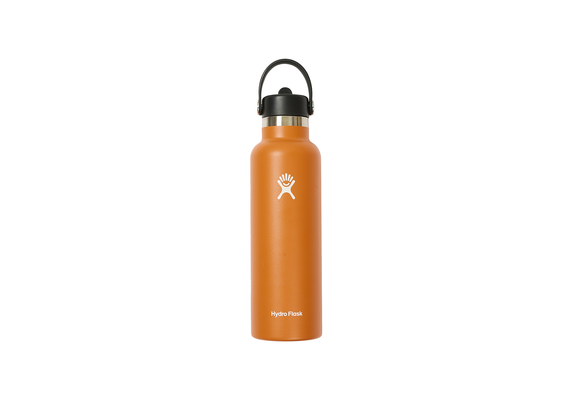 PALACE HYDRO FLASK 21 OZ STANDARD MOUTH WITH FLEX STRAW CAP