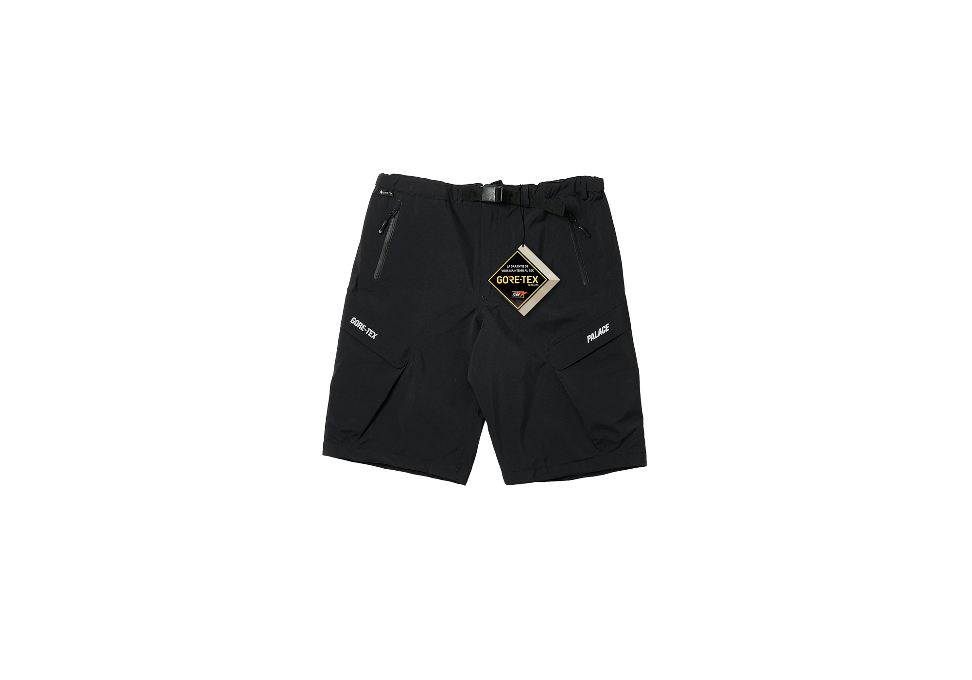 GORE-TEX R-TEK CARGO SHORT | PALACE SKATEBOARDS
