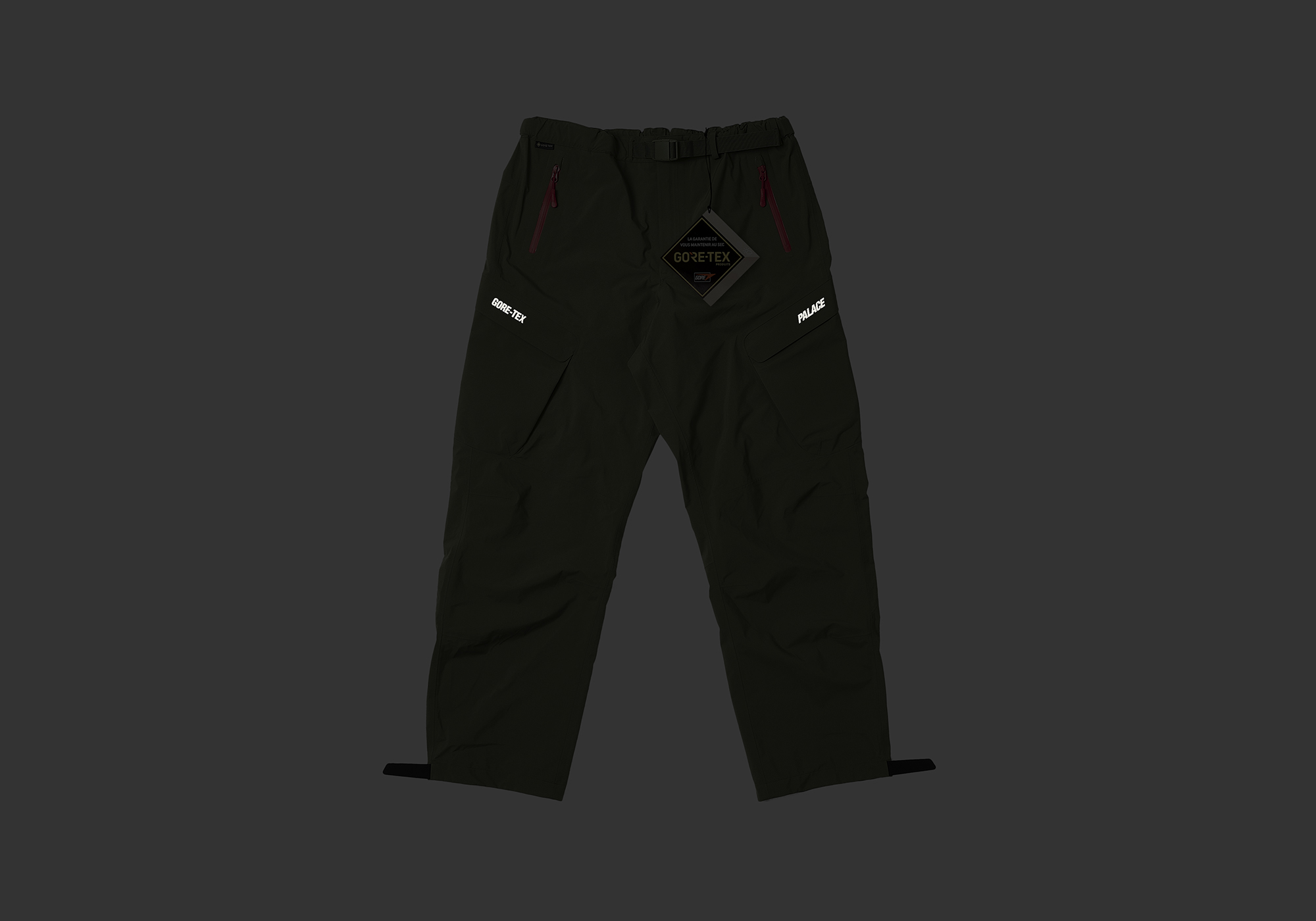 GORE-TEX R-TEK CARGO TROUSER | PALACE SKATEBOARDS