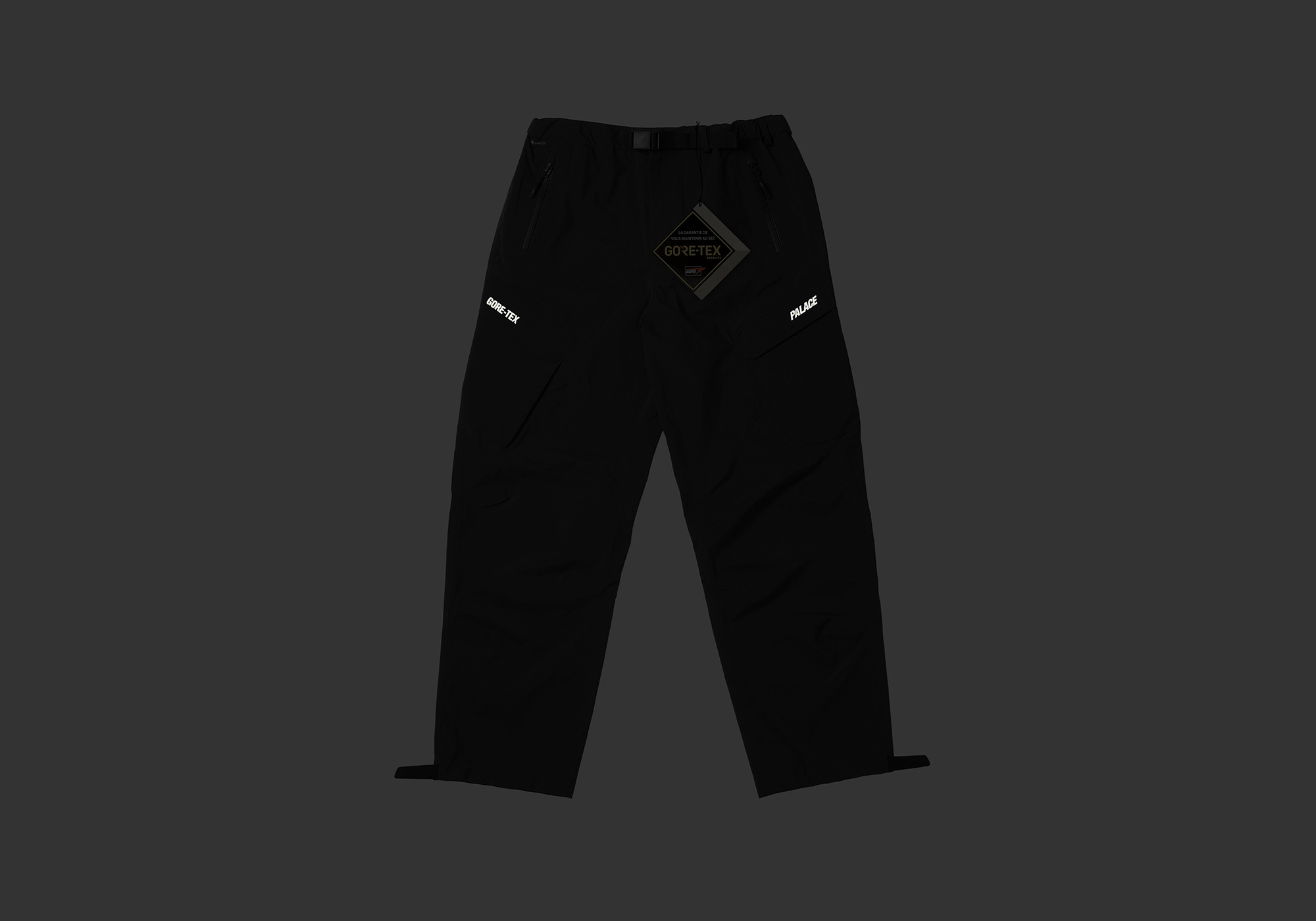 GORE-TEX R-TEK CARGO TROUSER | PALACE SKATEBOARDS