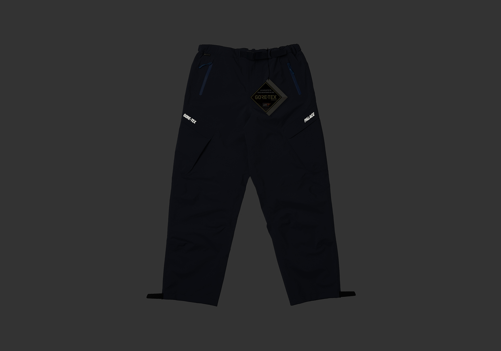 GORE-TEX R-TEK CARGO TROUSER | PALACE SKATEBOARDS