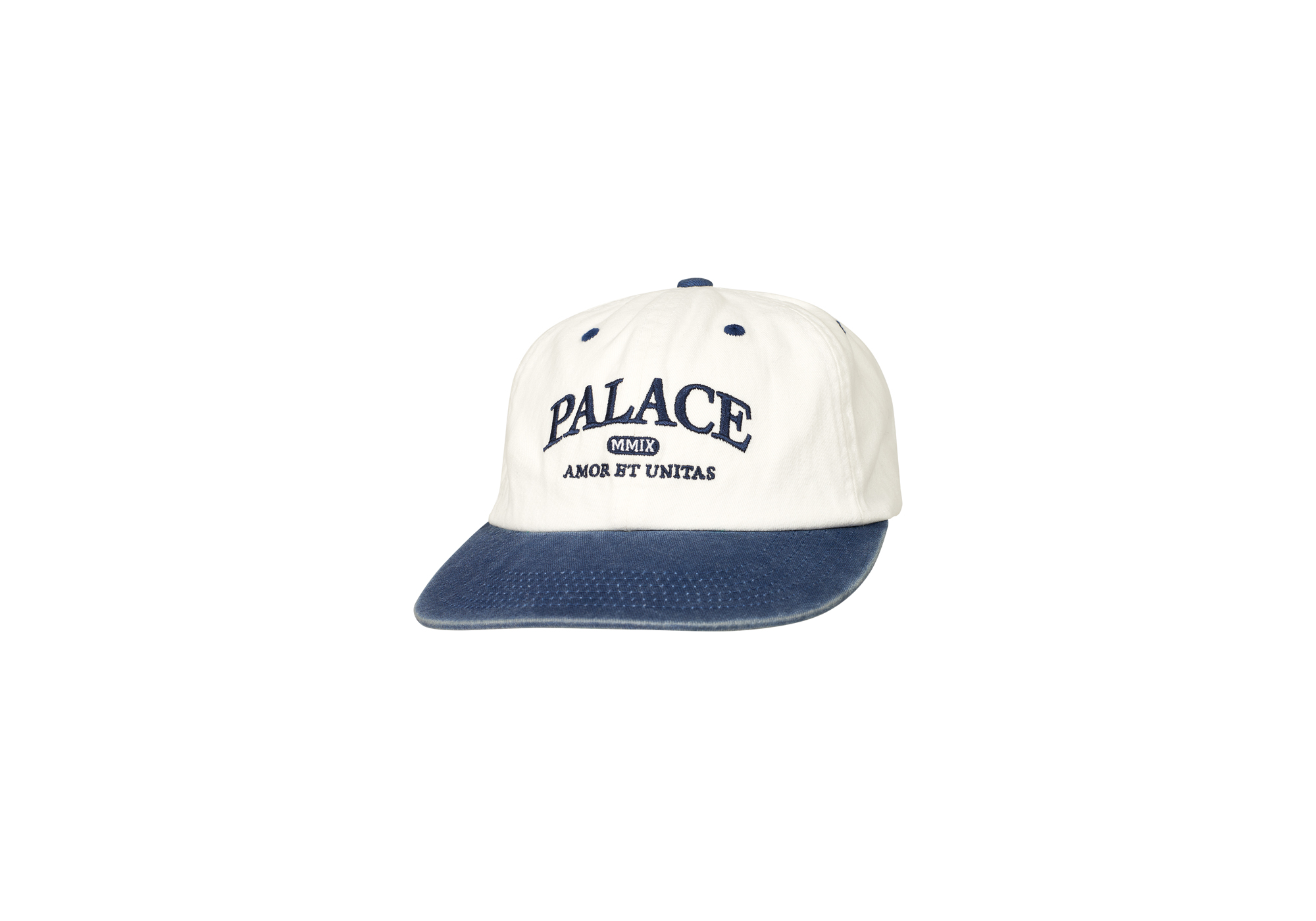 2025人気No.1の UNITAS PIGMENT SKATEBOARDS PALACE | HAT PAL 帽子