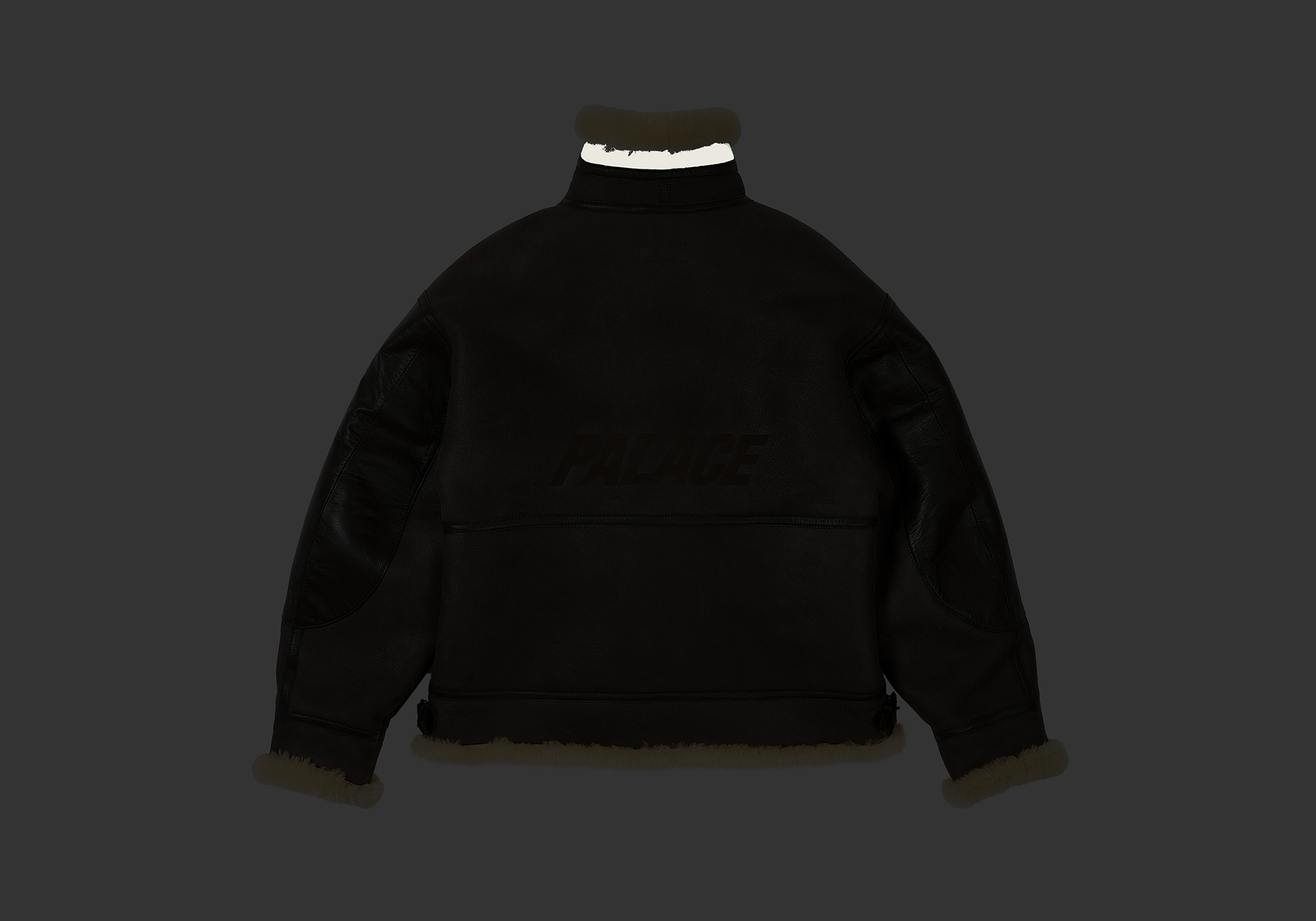 PALACE FLYING JACKET | PALACE SKATEBOARDS