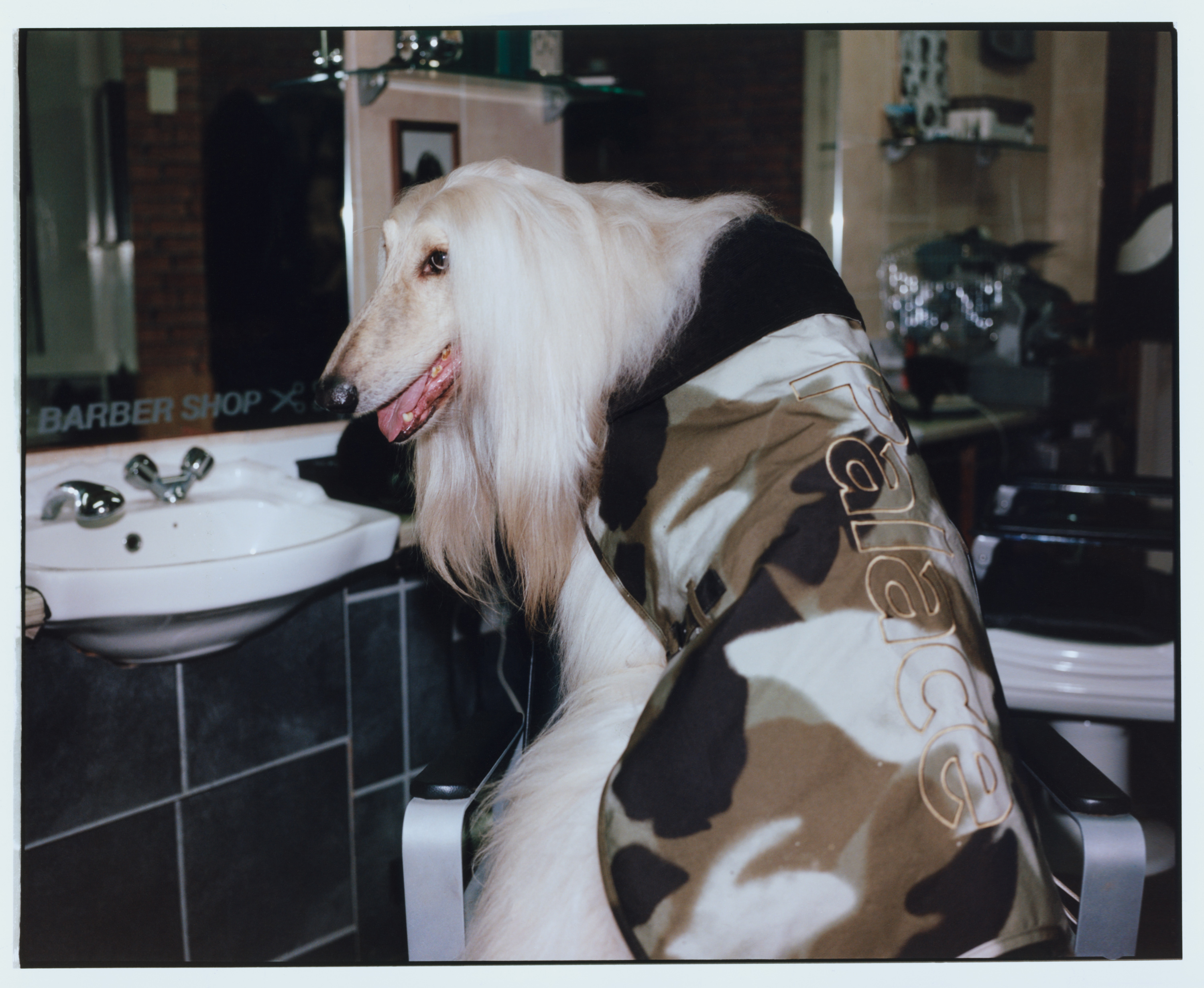 PALACE BARBOUR | PALACE SKATEBOARDS