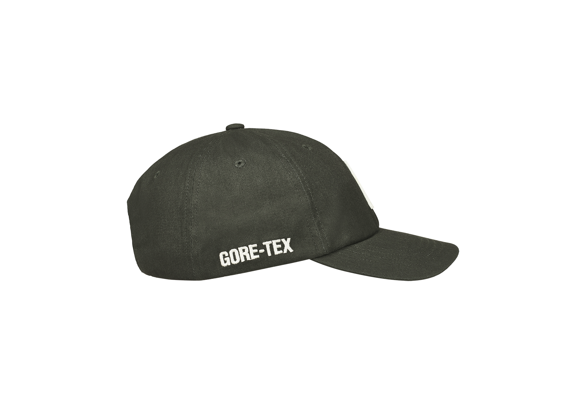 GORE-TEX PIGMENT P 6-PANEL | PALACE SKATEBOARDS