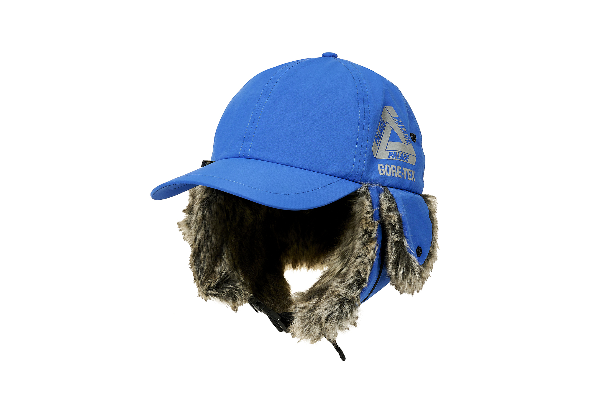 GORE-TEX DOG EAR 6-PANEL | PALACE SKATEBOARDS