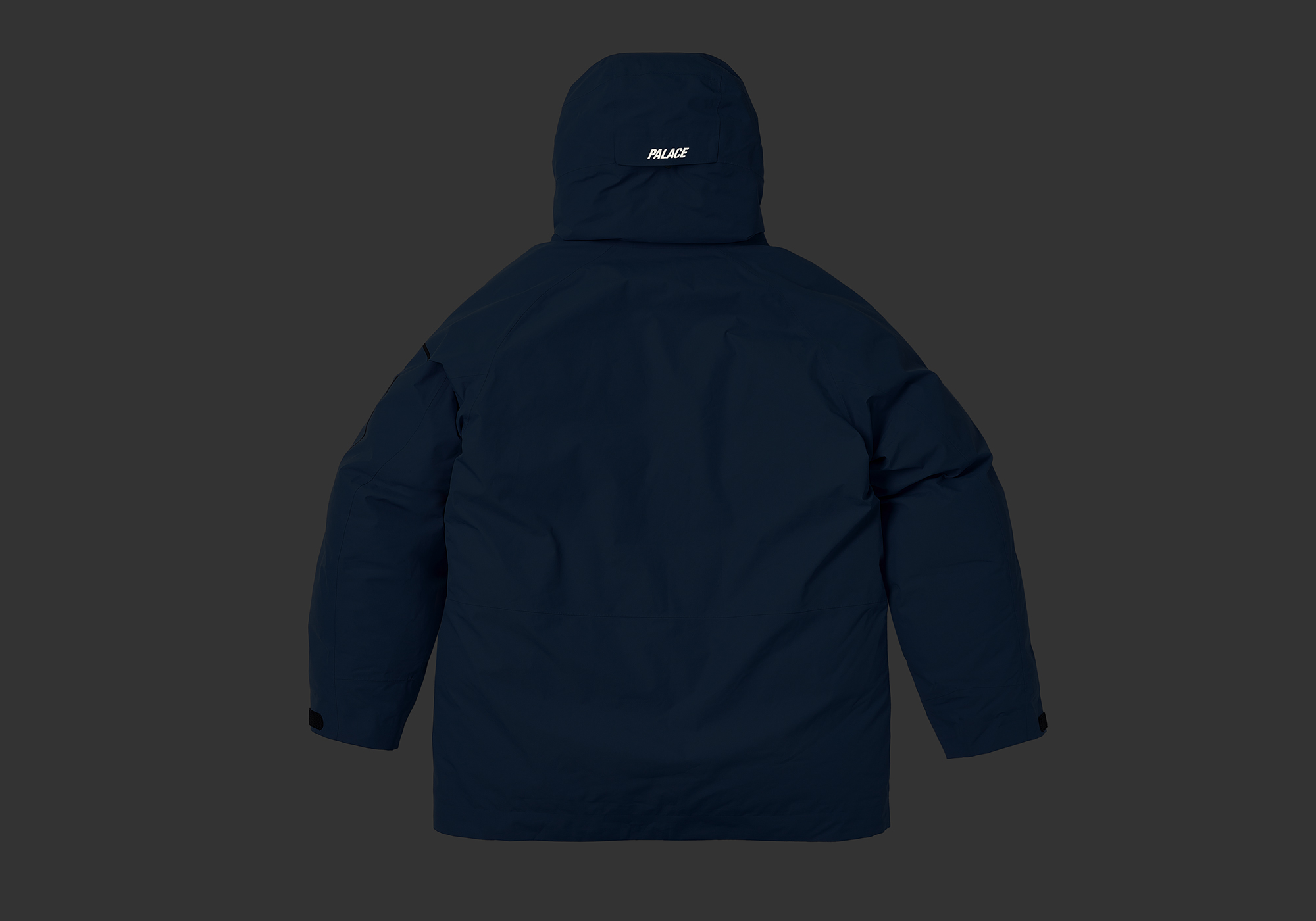GORE-TEX CARGO DOWN PARKA | PALACE SKATEBOARDS