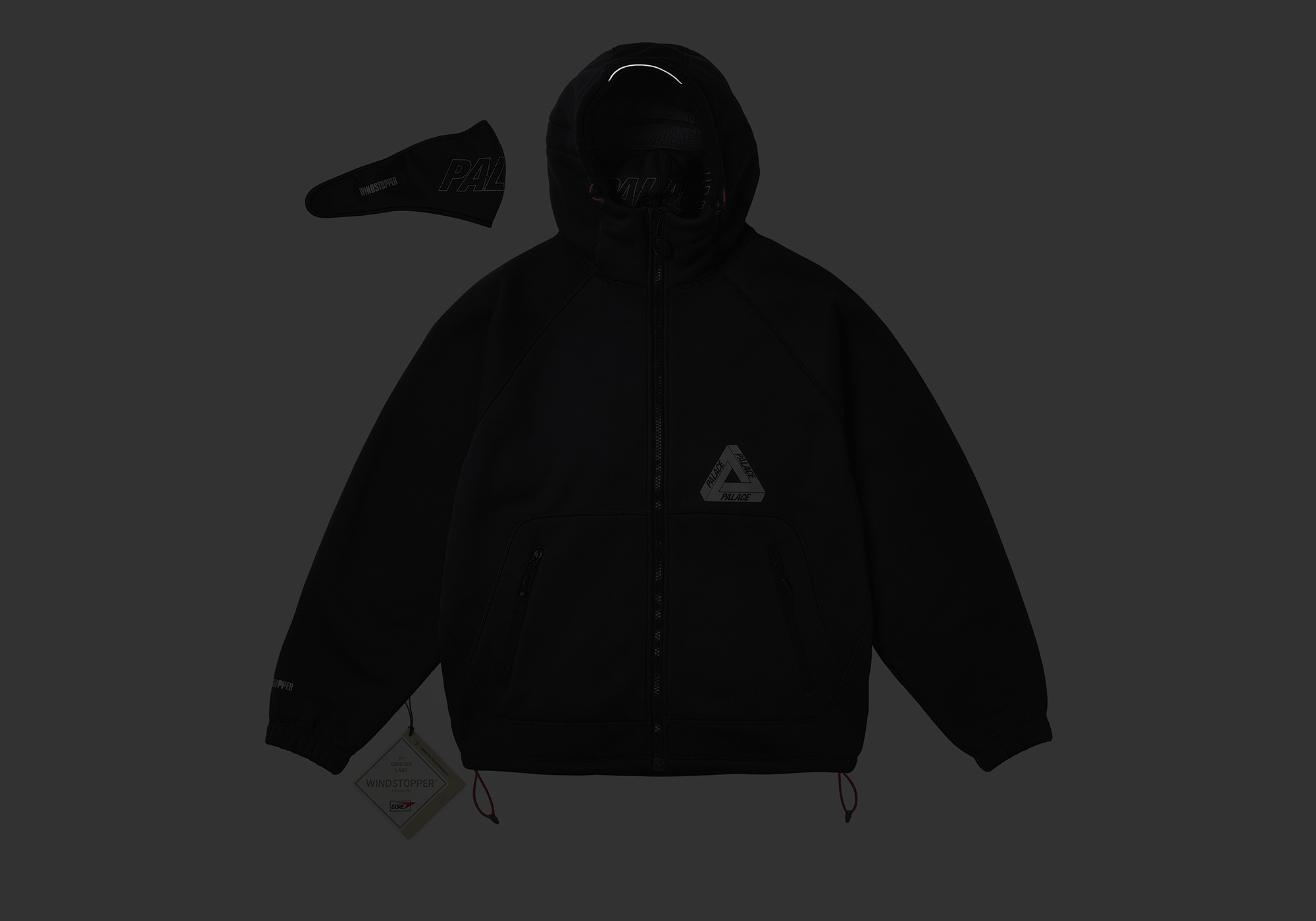 PALACE GORE-TEX WINDSTOPPER ナイロンジャケット ☆24SS 入手困難☆PALACE Gore-Tex Windstopper Jacket (Palace