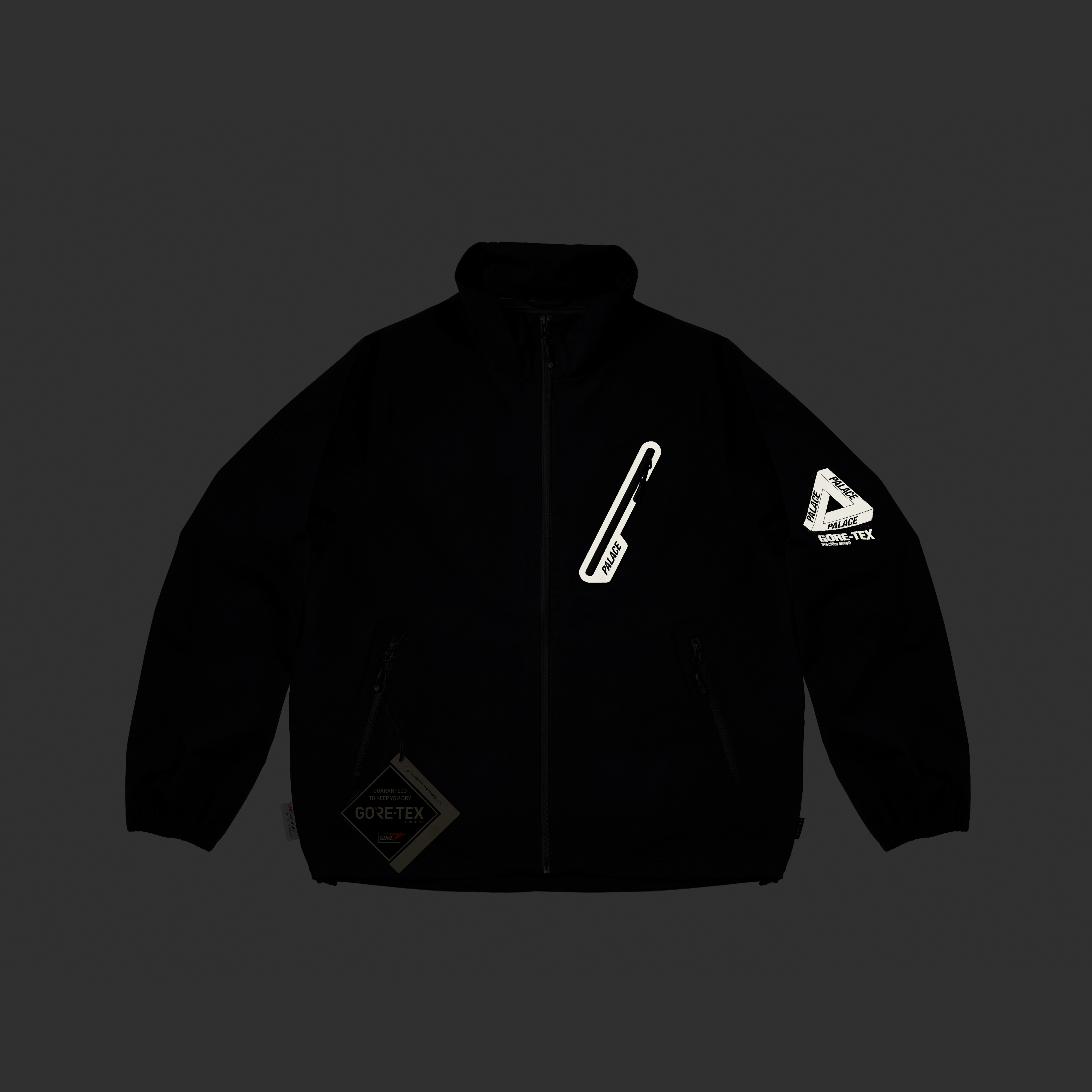GORE-TEX P-LITE JACKET | PALACE SKATEBOARDS