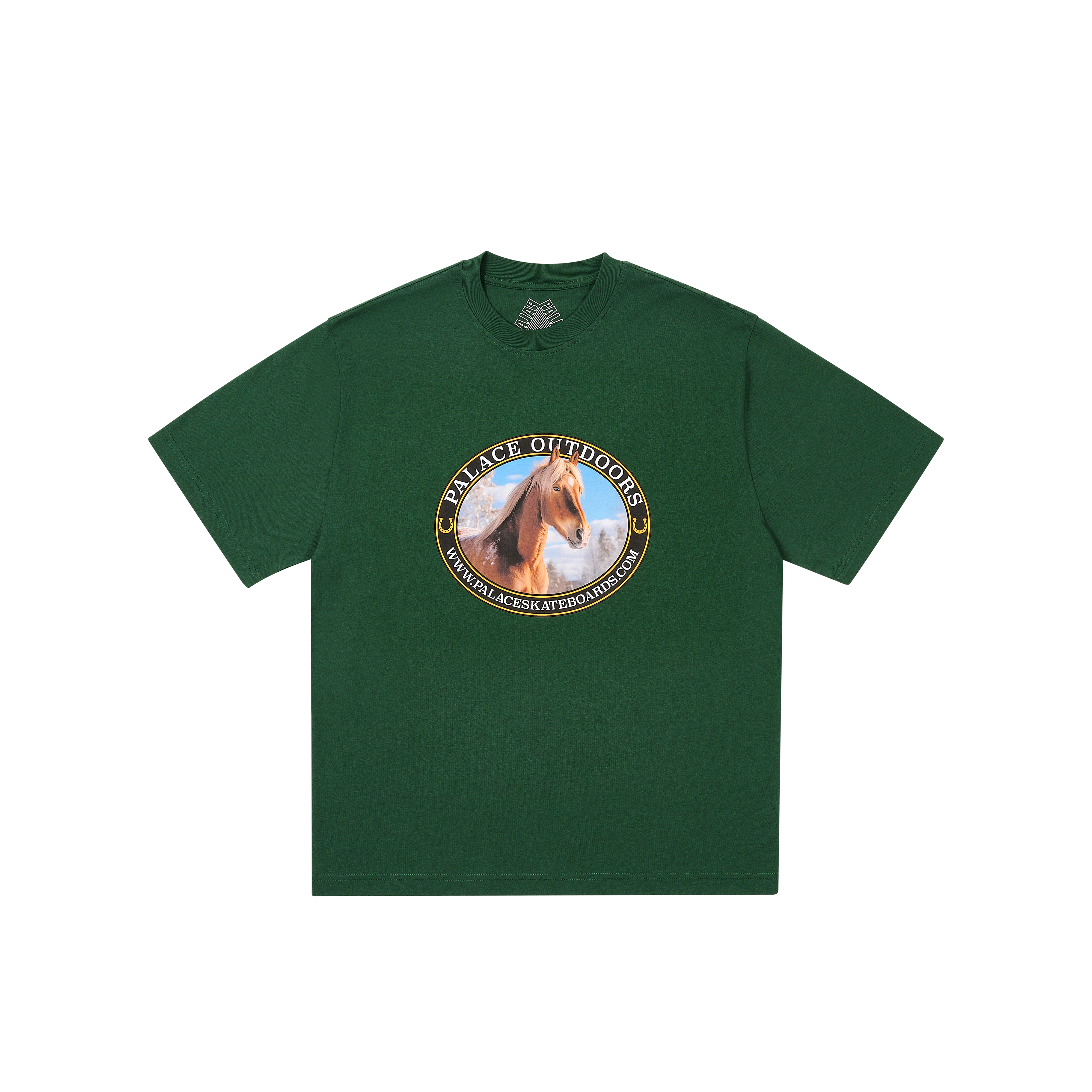 1729758855-p27ts354-equestrian