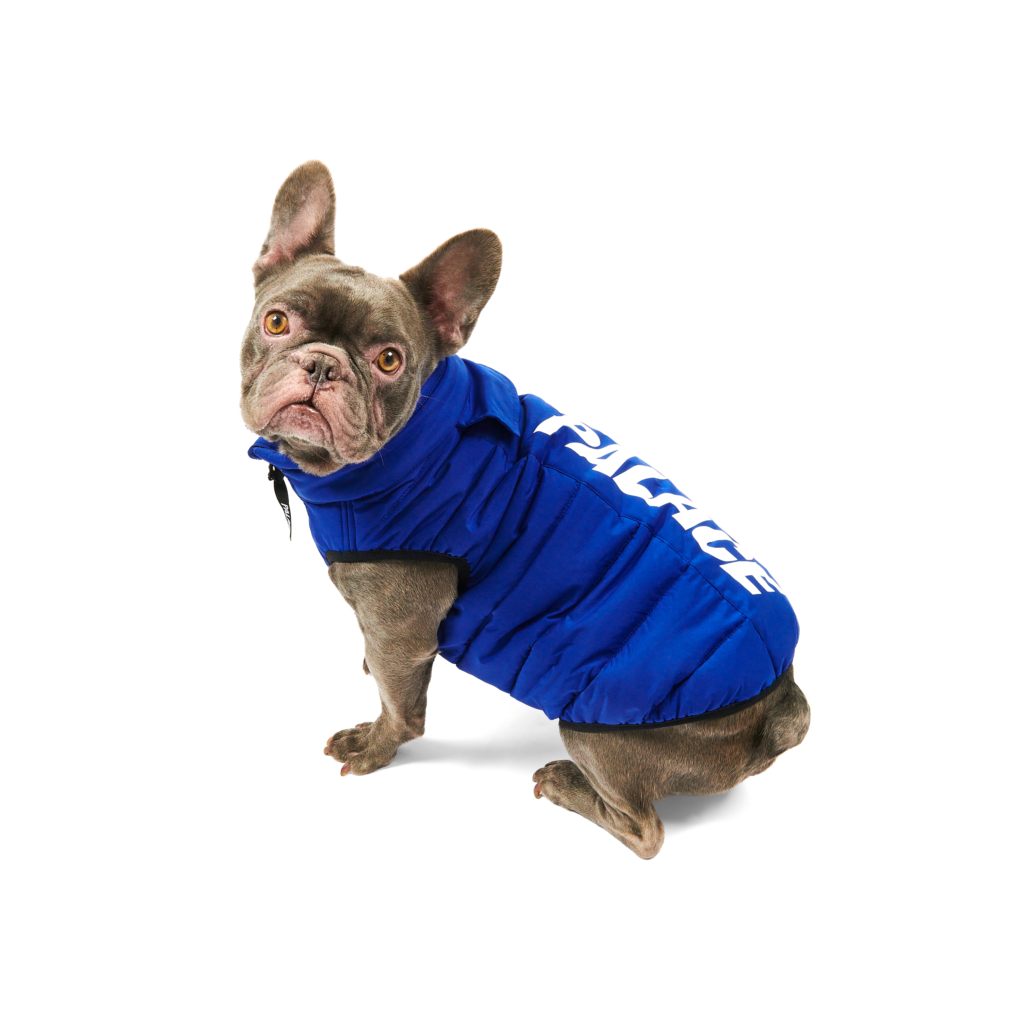 PalaceSkateboardsリバーシブル Puffa ベスト DOG PUFFA | PALACE SKATEBOARDS