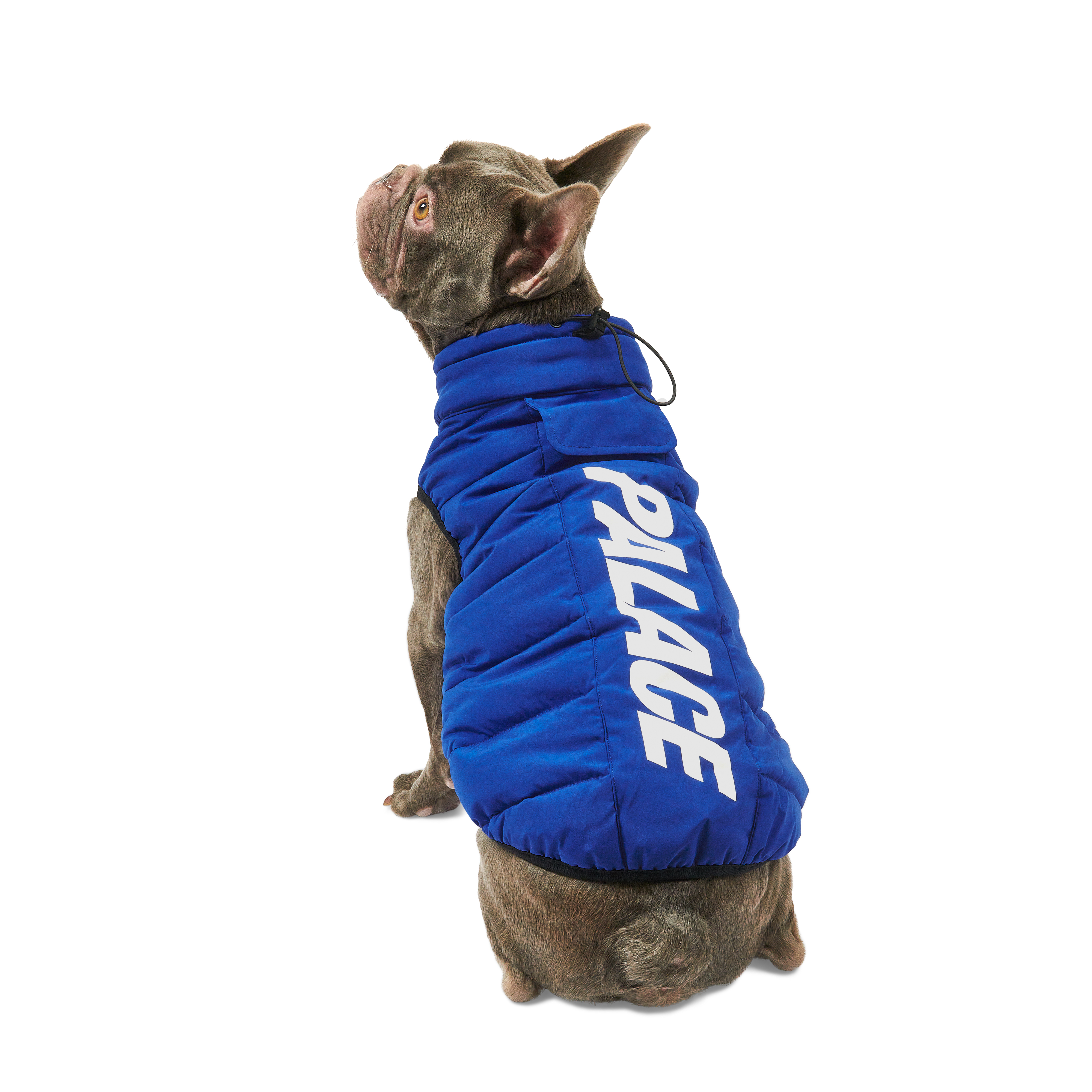 Mサイズ Palace Skateboards Dog Puffa DOG PUFFA | PALACE SKATEBOARDS