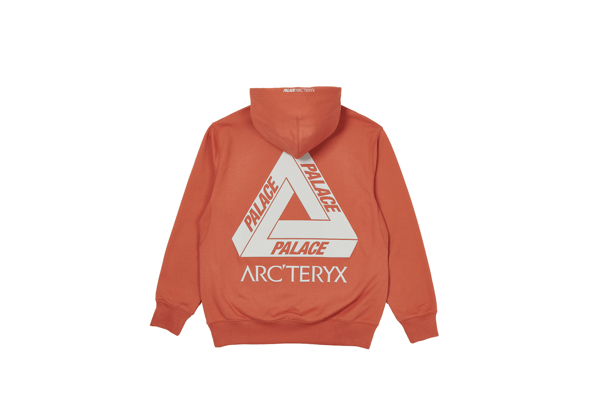 Palace Arc'teryx Jacket パレスアークテリクスフーディーダウン