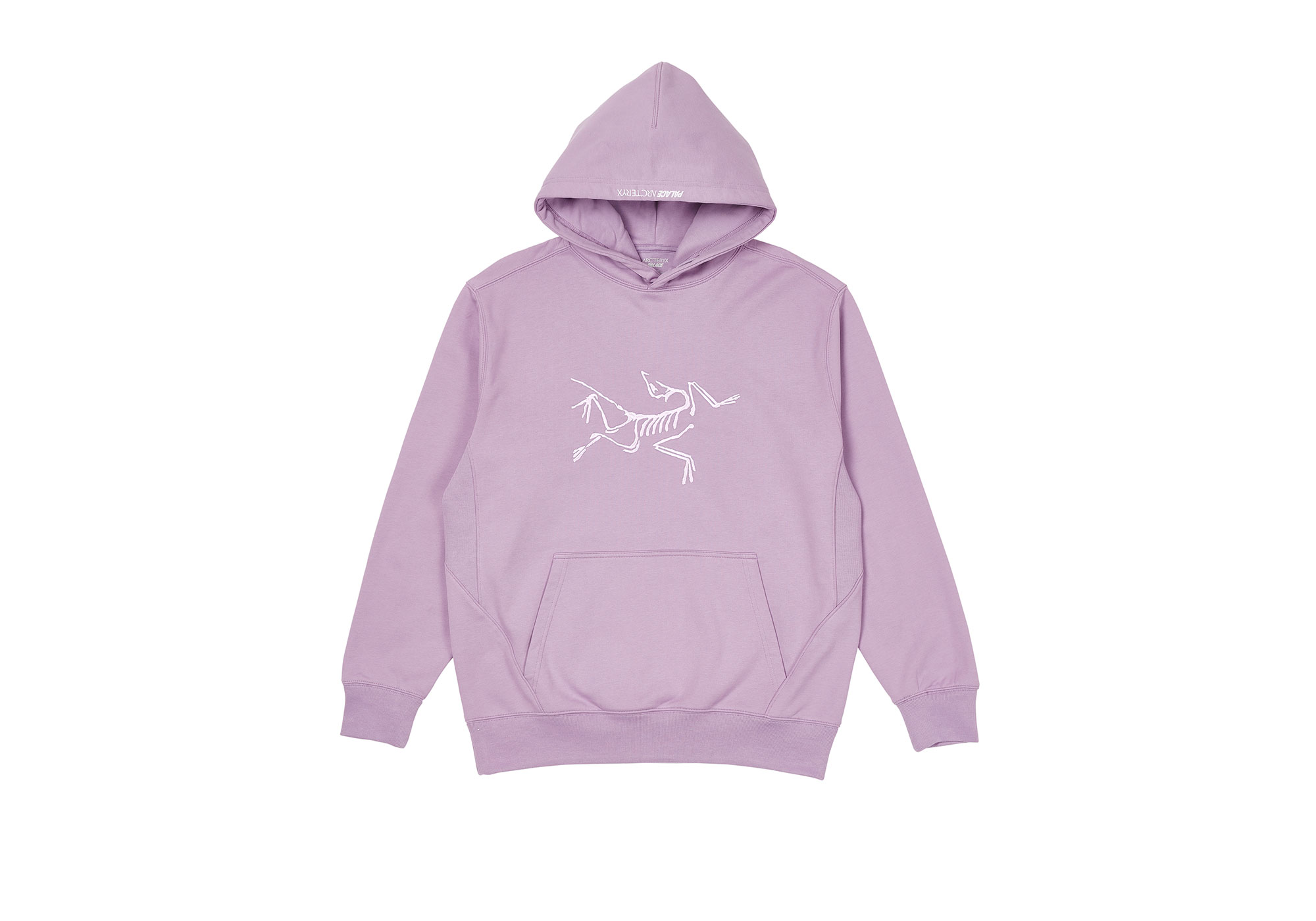 Palace Arc'Teryx スウェット パーカー ブラック Palace arcteryx - Gem