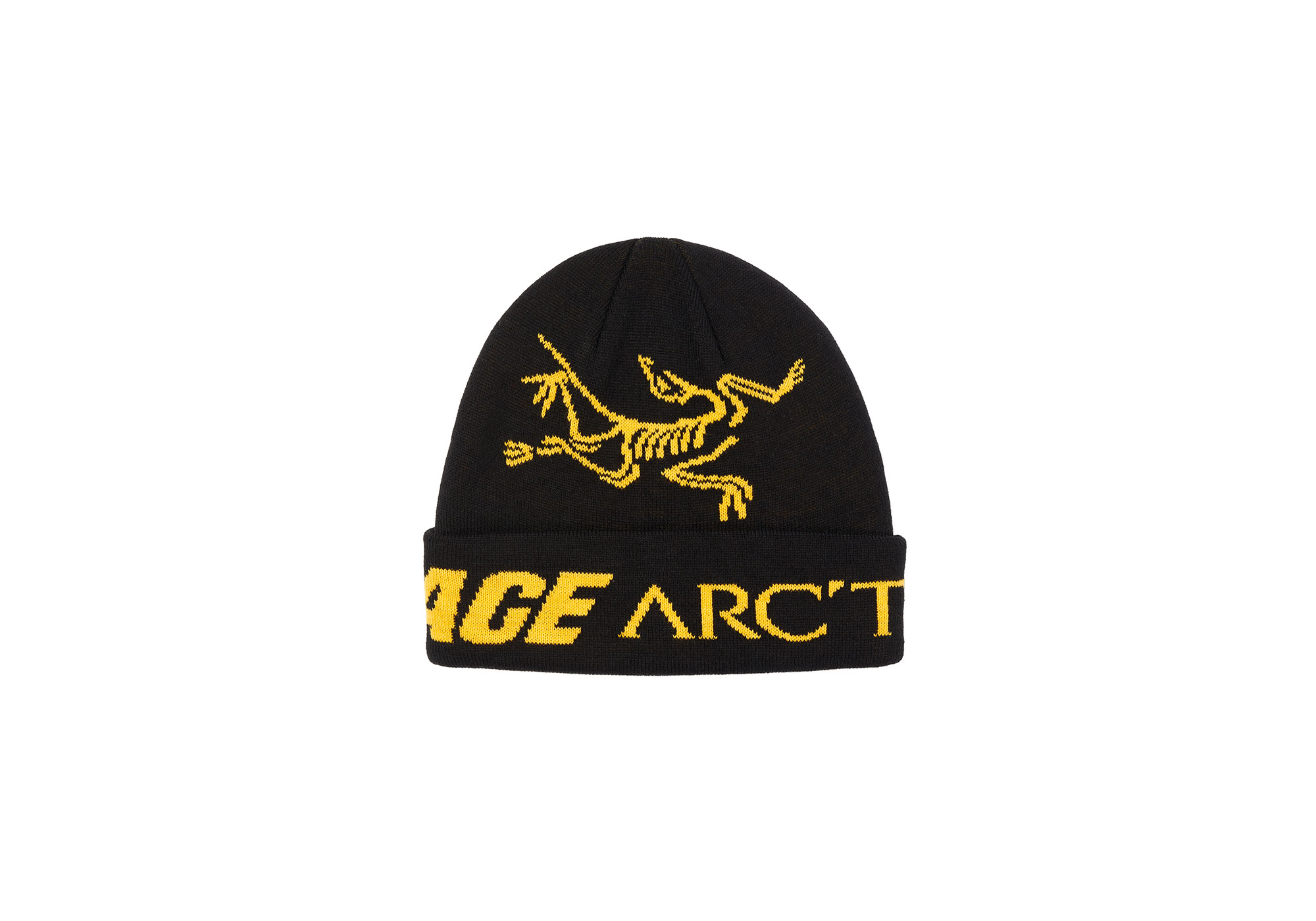 アークテリクスビーニー / ARC'TERYX x PALACE コラボ20AW アークテリクスビーニー / ARC'TERYX x PALACE コラボ20AW