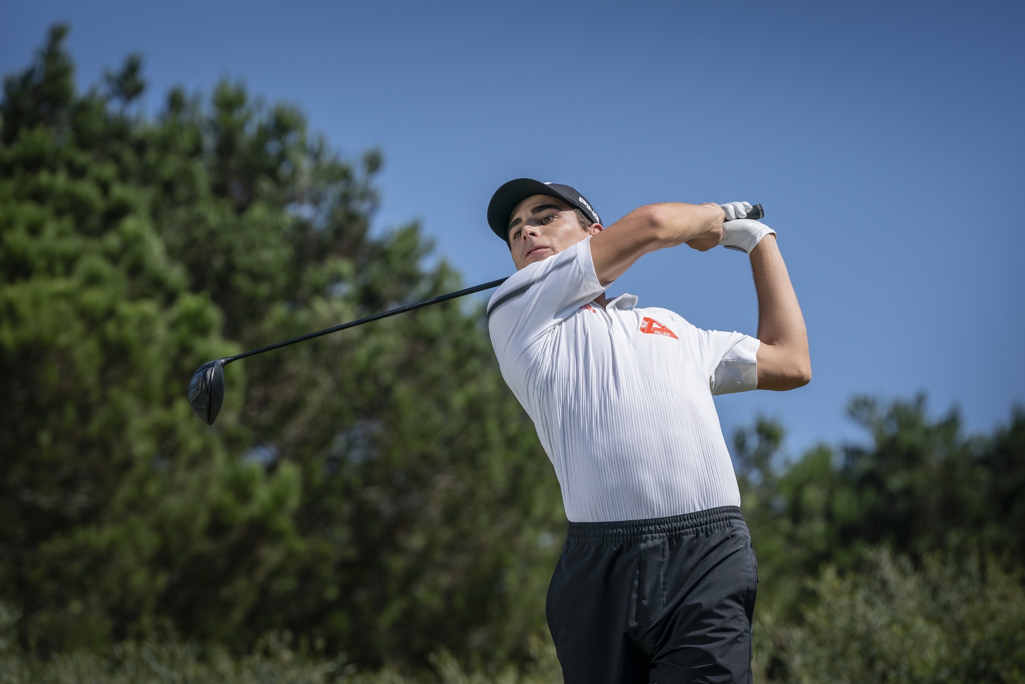 All スポーツ PALACE ADIDAS GOLF 27.5cm