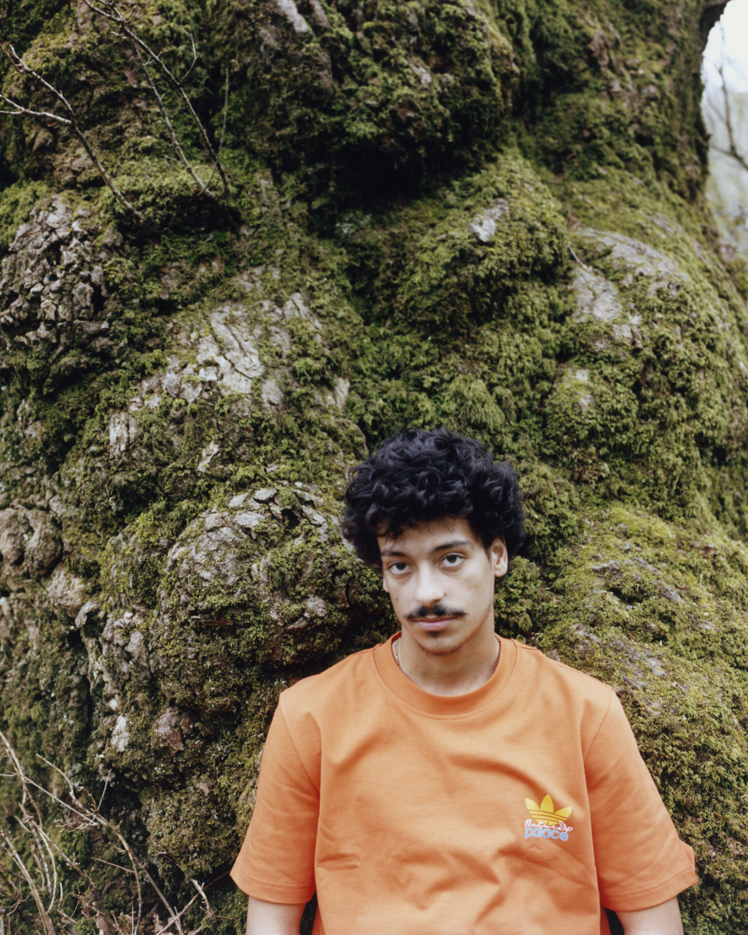 PALACE ADIDAS: NATURE | PALACE SKATEBOARDS