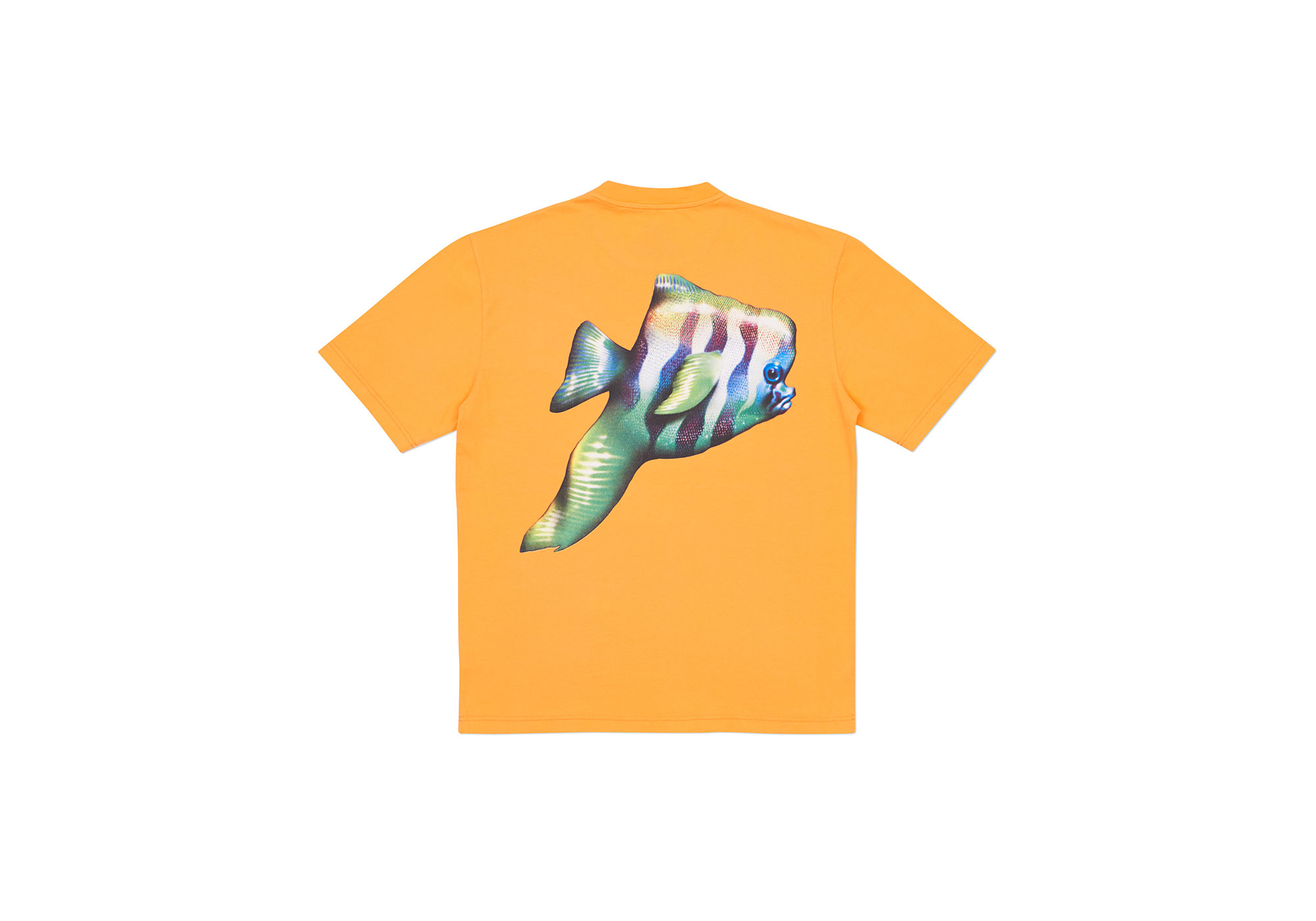 PALACE skateboarding tropical crew neck BEYOND THE 3RD WAVE | PALACE SKATEBOARDS