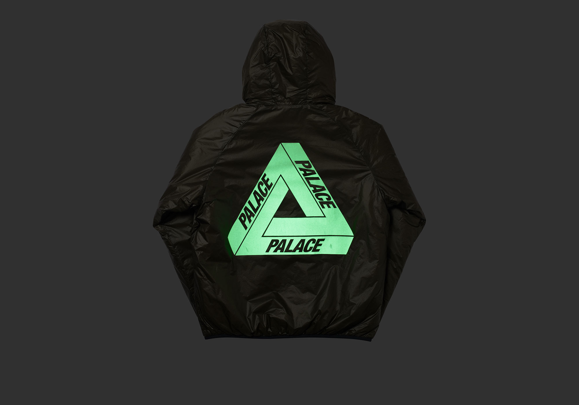 期間限定 palace pertex 3l armor jacket leaf PERTEX 3L ARMOR JACKET LEAF PRINT - I was inspired by the