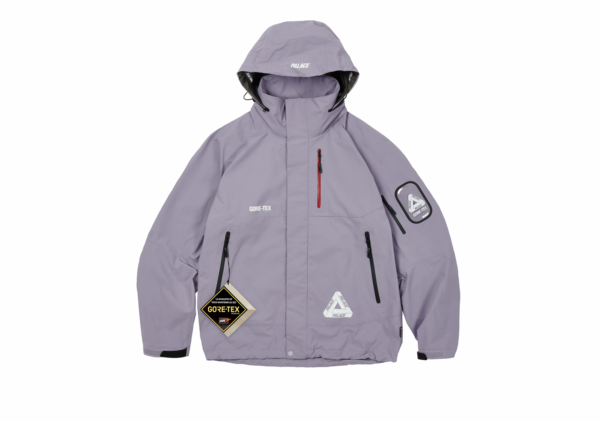 1734520262-palace-skateboards-
