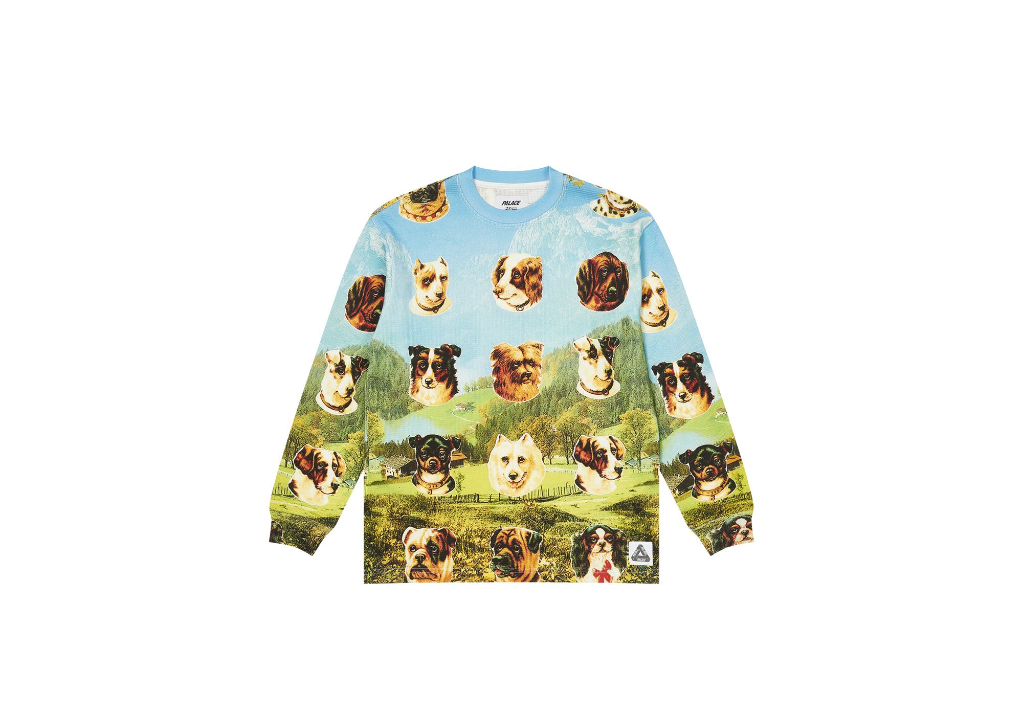Mサイズ Palace Skateboards Dog Puffa DOG PUFFA | PALACE SKATEBOARDS