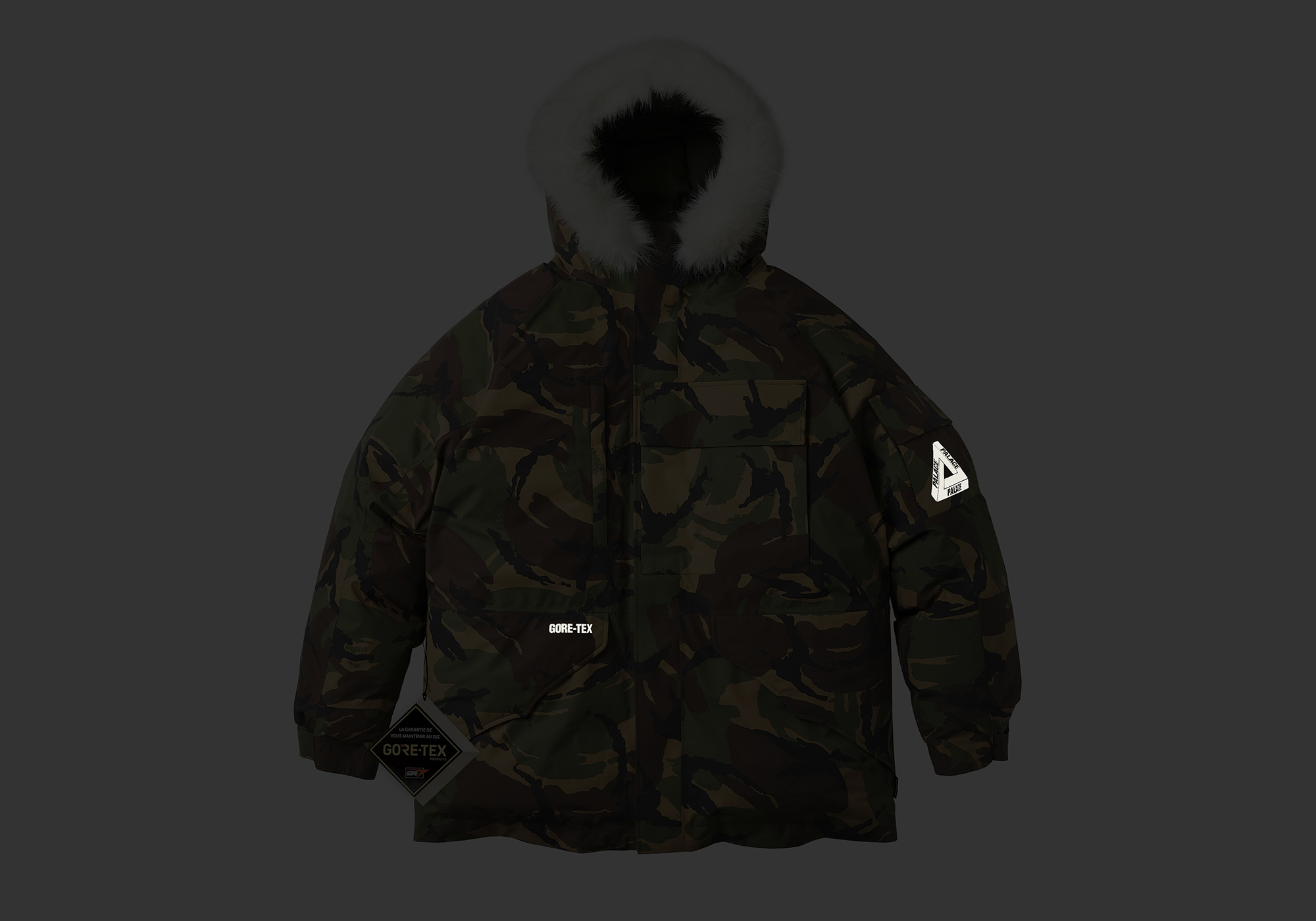 ショップレビュー ランキング GORE-TEX DOWN PARKA | PALACE SKATEBOARDS ジャケット・アウター